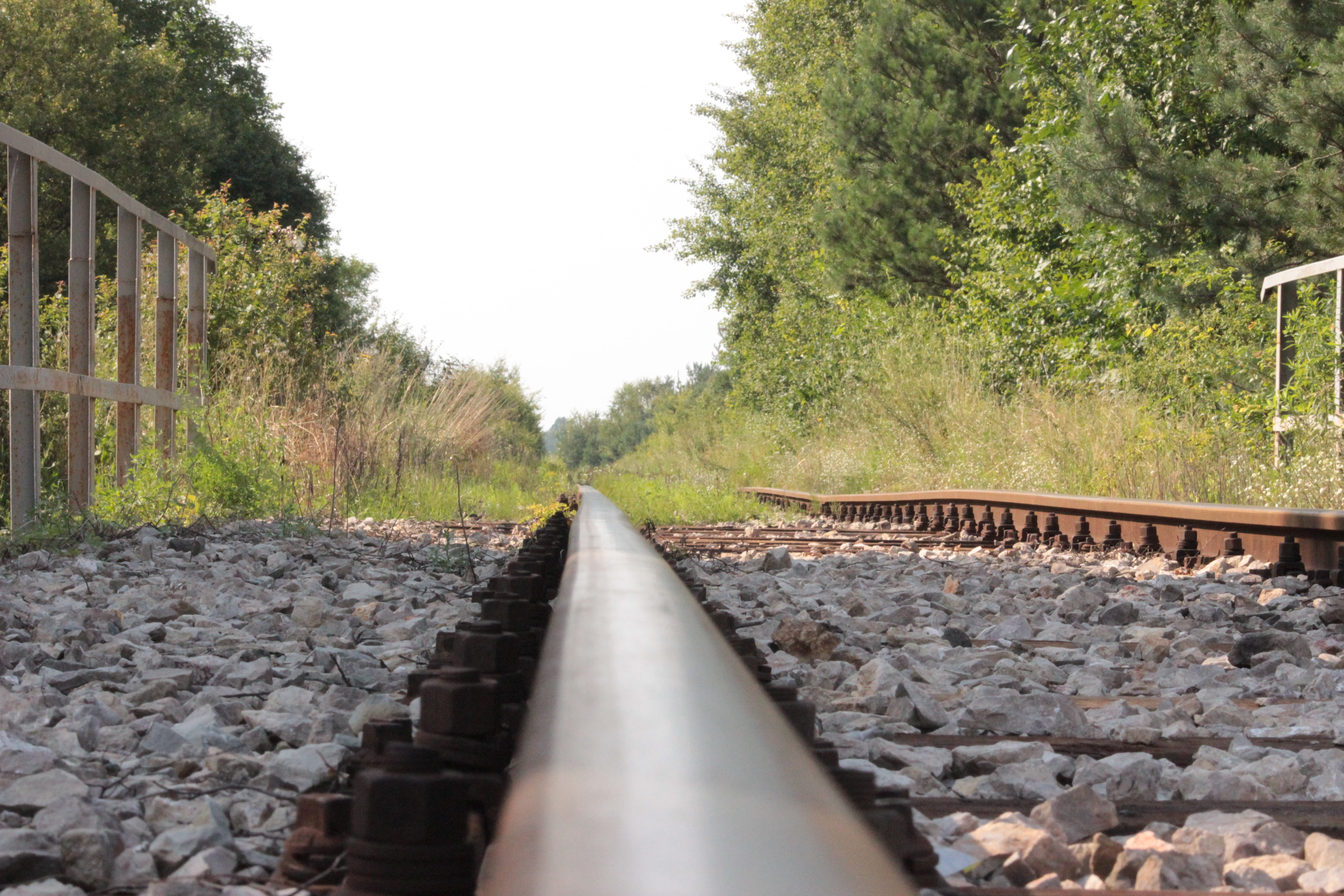 5K, the prospect of, diminishing perspective, transportation, no people, the way forward, solid, vanishing point, outdoors, sky, growth, day, nature, plant, HD Wallpaper