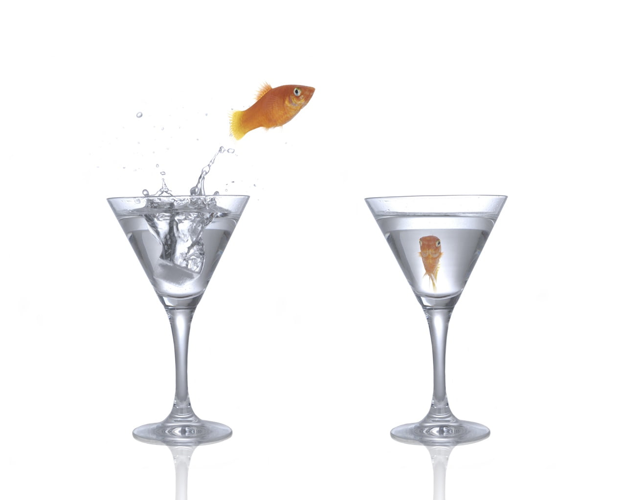 splash, glasses, no people, drink, still life, water, cocktail, drinking glass, glass, white background, two, indoors, transparent, splashing, close-up, HD Wallpaper