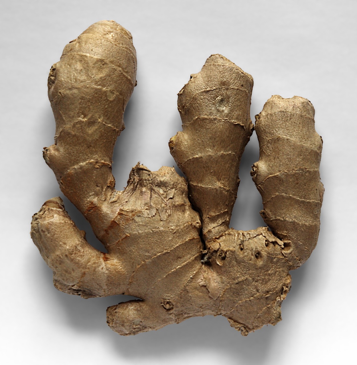 ready-to-eat, spice, food, studio shot, wellbeing, ingredient, ginger, group of objects, ingber, no people, still life, zingiber officinale, freshness, Phone HD Wallpaper