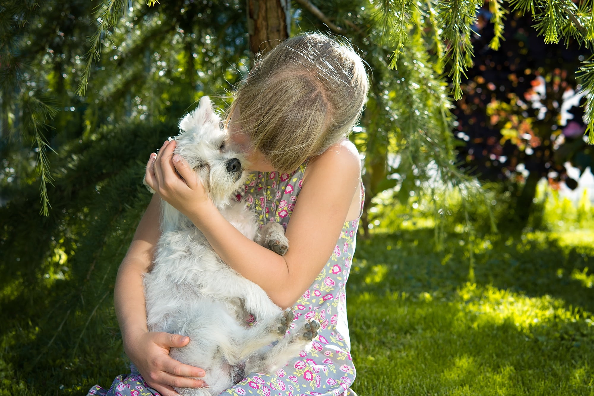 offspring, pet, small dog, innocence, snuggle, dress, nature, blond hair, one animal, positive emotion, human, girl, person, people, summer, females, caucasian Ethnicity, HD Wallpaper