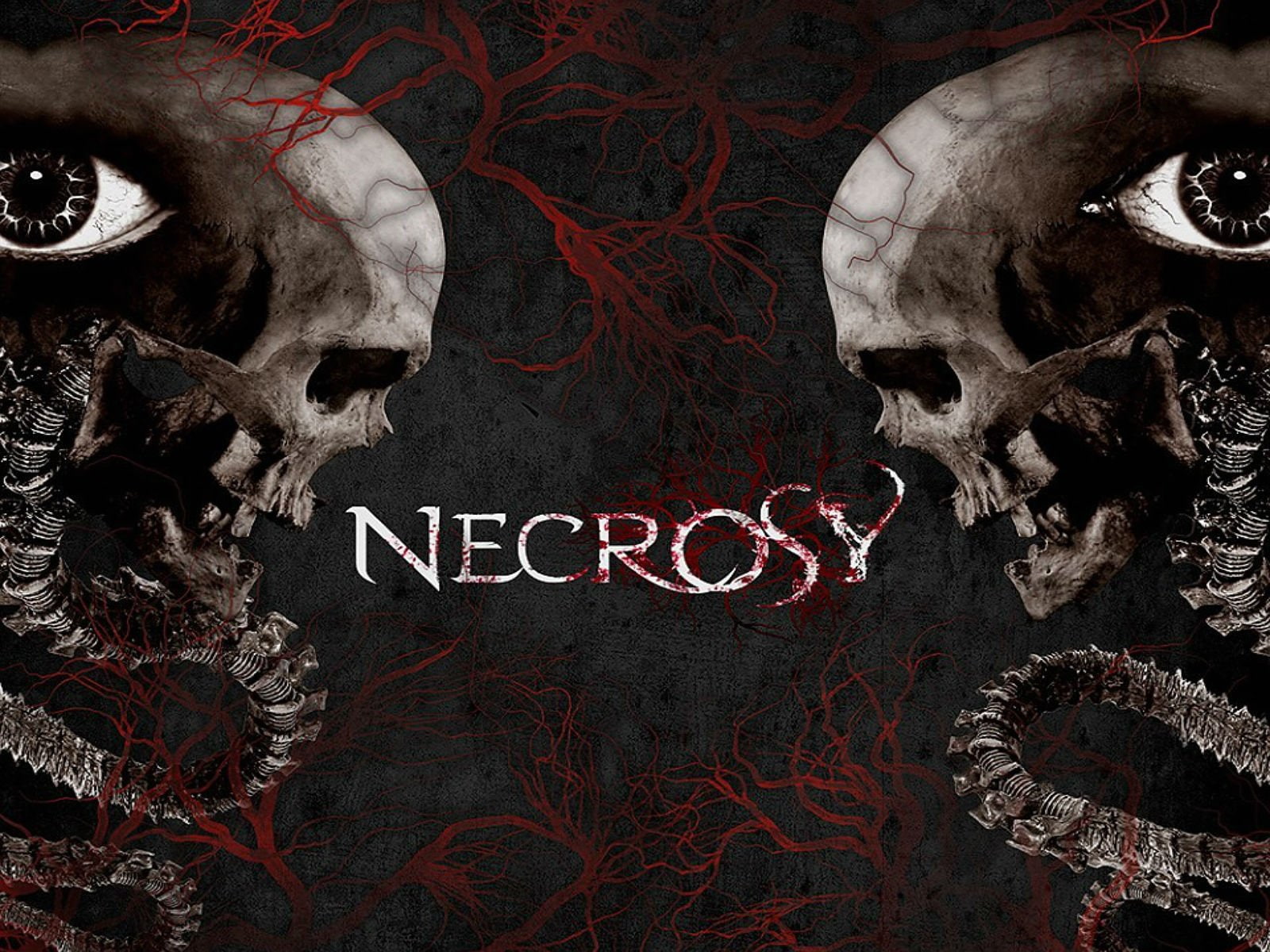 communication, art and craft, blood, poster, wall, graffiti, architecture, skull, Evil, human skeleton, Metal, bone, wall - building feature, text, heavy, HD Wallpaper