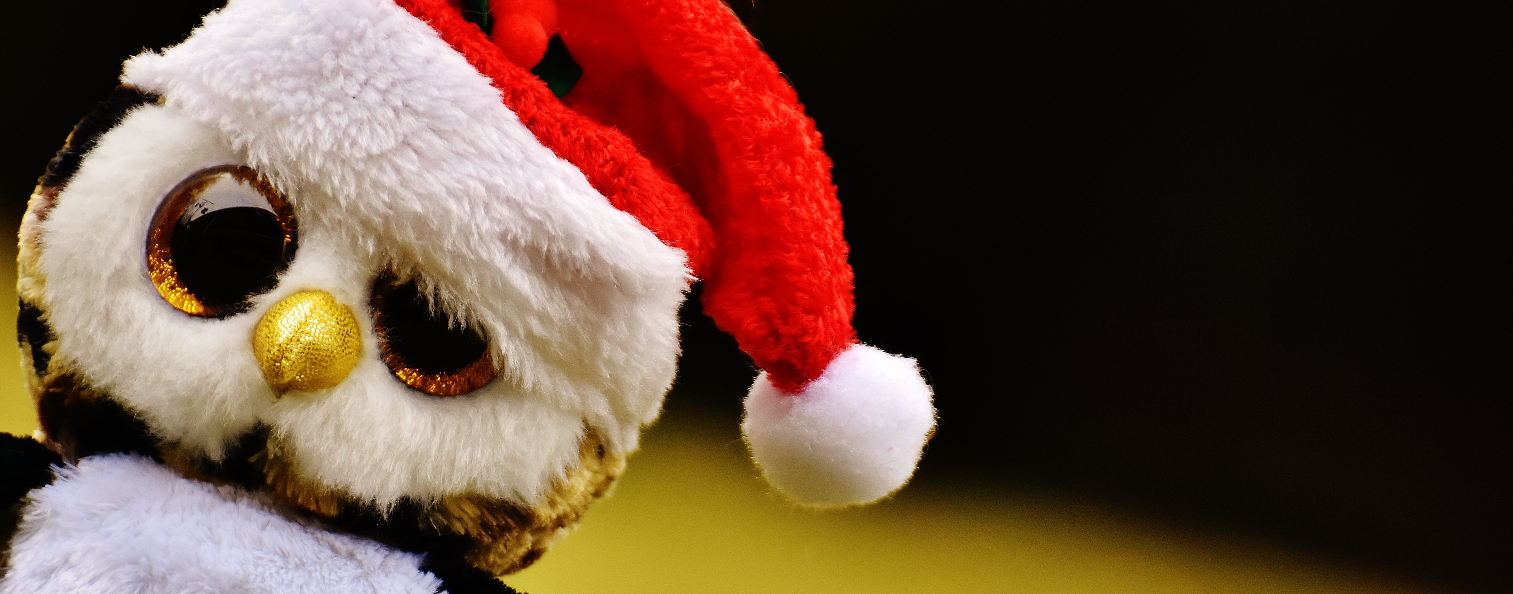 one animal, santa hat, selective, 4K, funny, animal themes, celebration, sweet, children toys, holiday - event, photography, teddy bear, copy space, close-up, HD Wallpaper