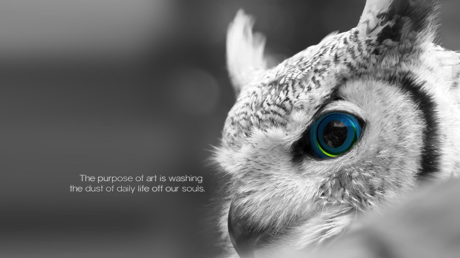 purpose, 1080P, 1920x1080, eagle, gray, quotes, art, HD Wallpaper