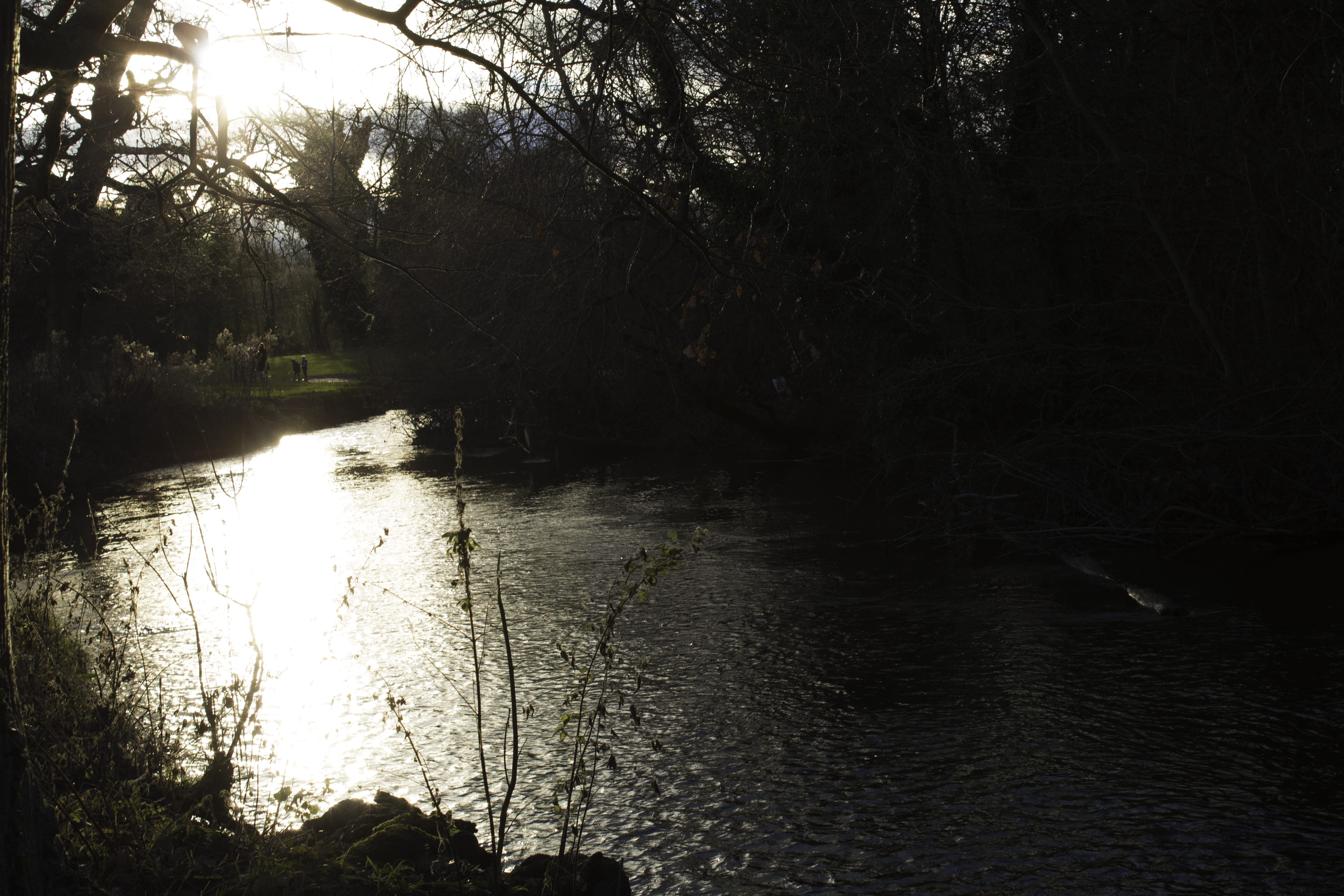 scenics - nature, no people, sunlight, outdoors, tranquil scene, 5K, tranquility, lake, plant, water, tree, day, land, flowing water, beauty in nature, HD Wallpaper