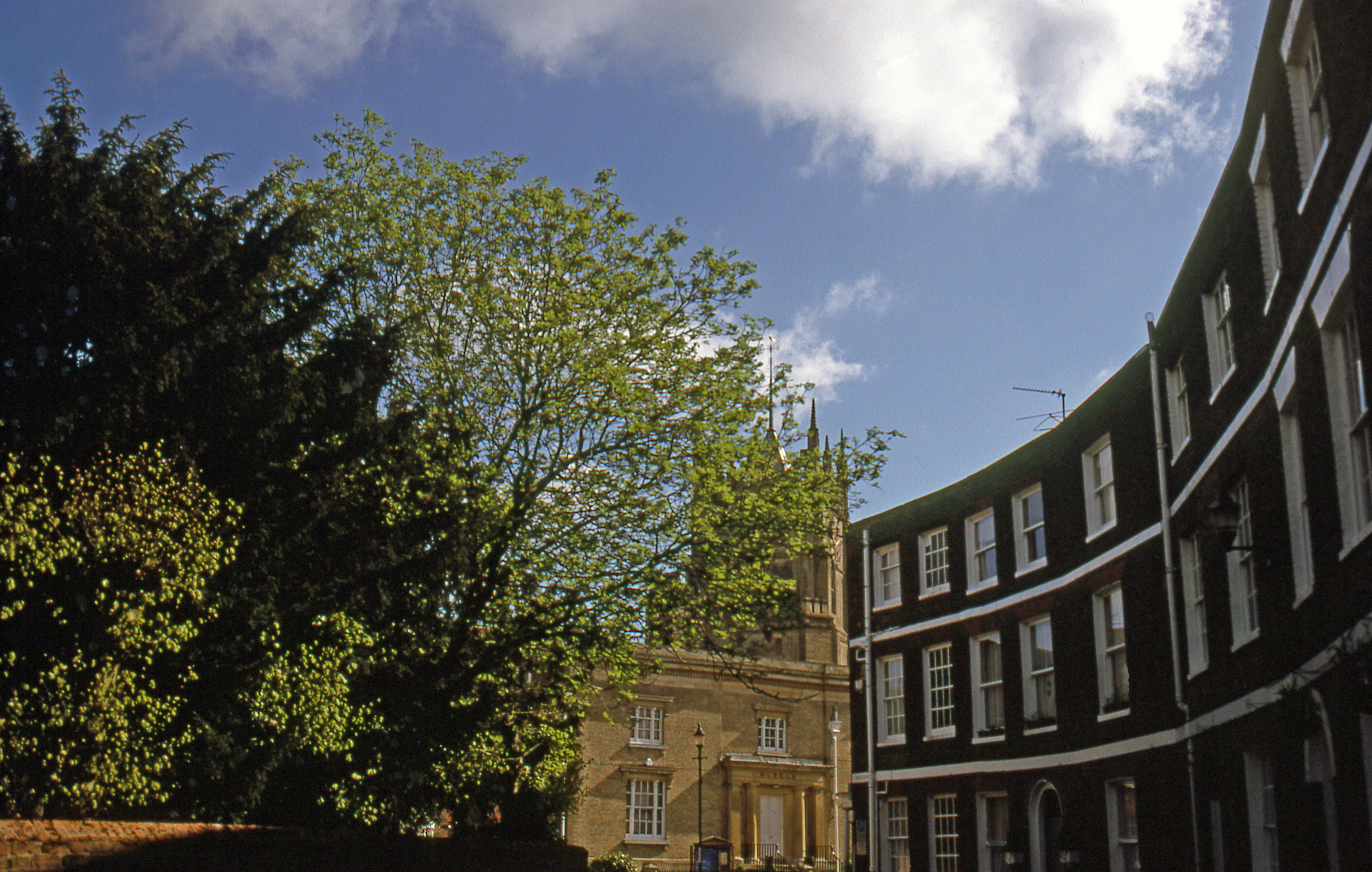 tree, office building exterior, residential district, low angle view, east anglia, city, building exterior, built structure, apartment, no people, england, HD Wallpaper