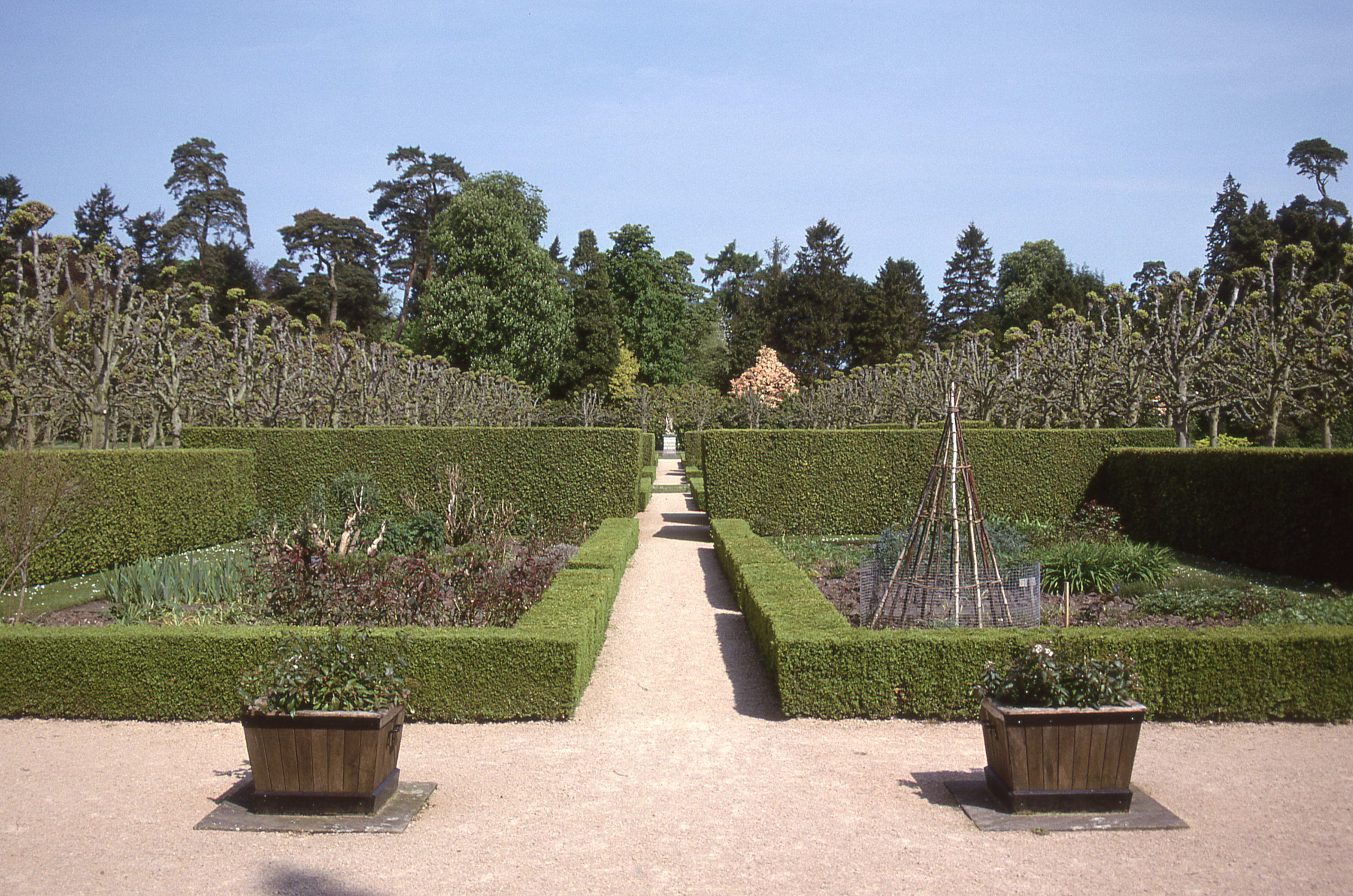 garden, day, tree, footpath, nature, no people, topiary, tranquil scene, formal garden, hedge, park, sky, 4K, england, united kingdom, growth, plant, beauty in nature, HD Wallpaper
