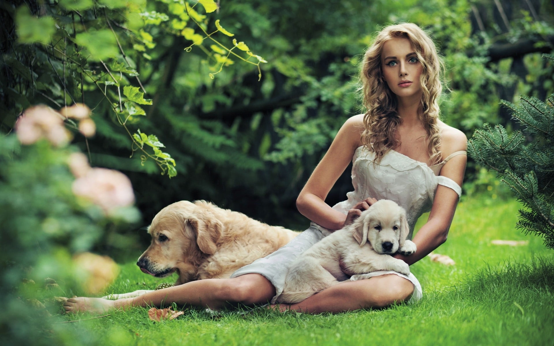dress, beautiful woman, women, positive emotion, one person, 1080P, plant, animals, hairstyle, mammal, hair, portrait, domestic, blue eyes, nature, canine, HD Wallpaper