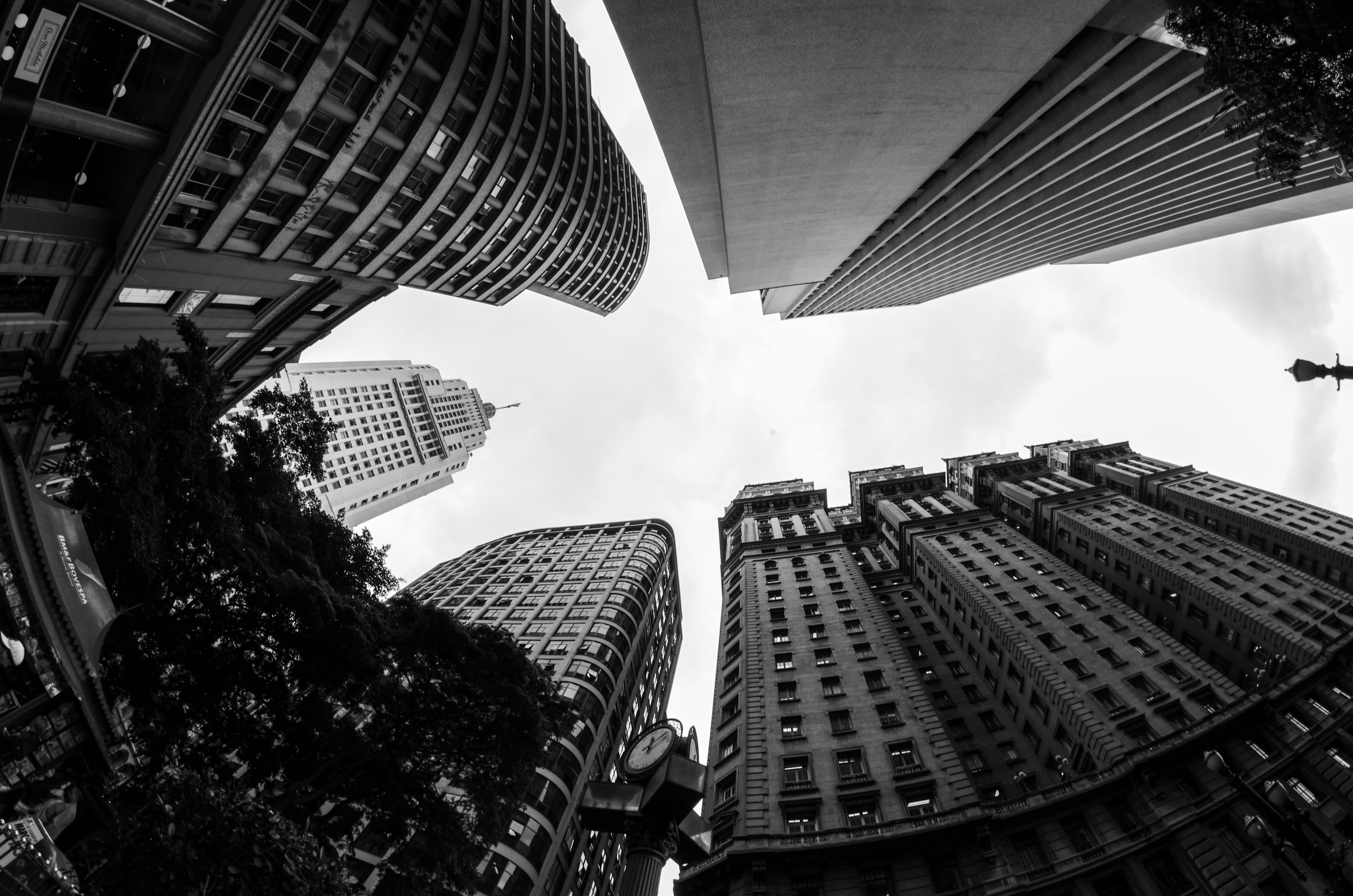 built structure, tall - high, building, office, wide-angle, black-and-white, looking up, nature, city, architecture, 4K, day, skyscraper, streets, financial district, HD Wallpaper