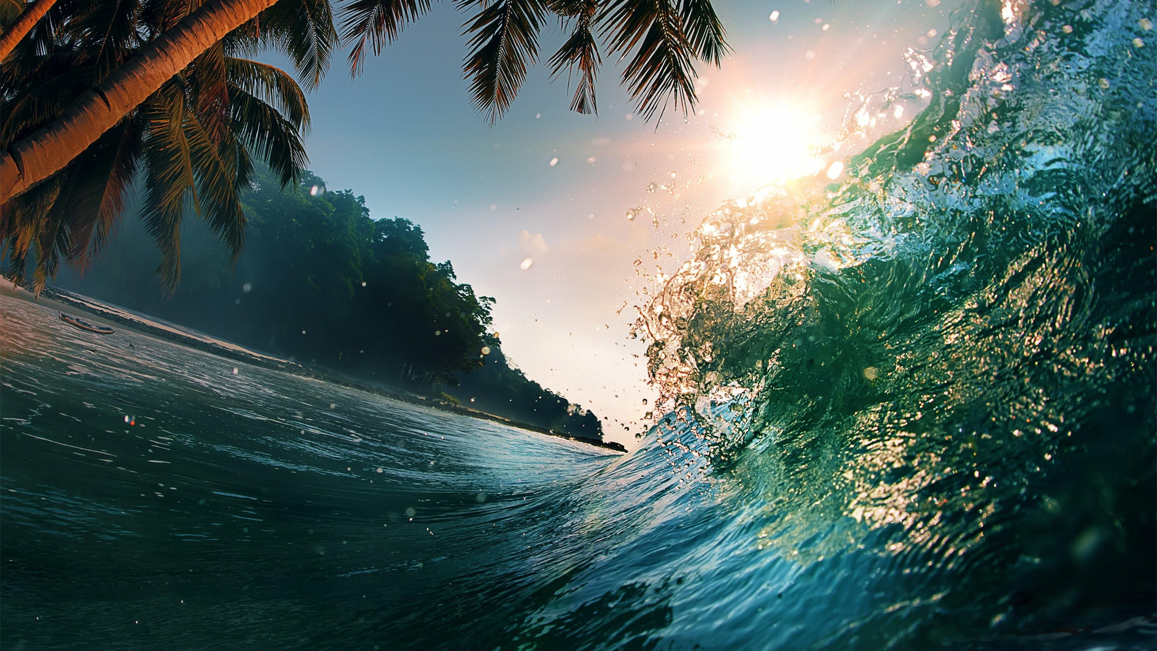 4K, summer, holiday, sunshine, sea, sun, palms, wave, palm tree, HD Wallpaper
