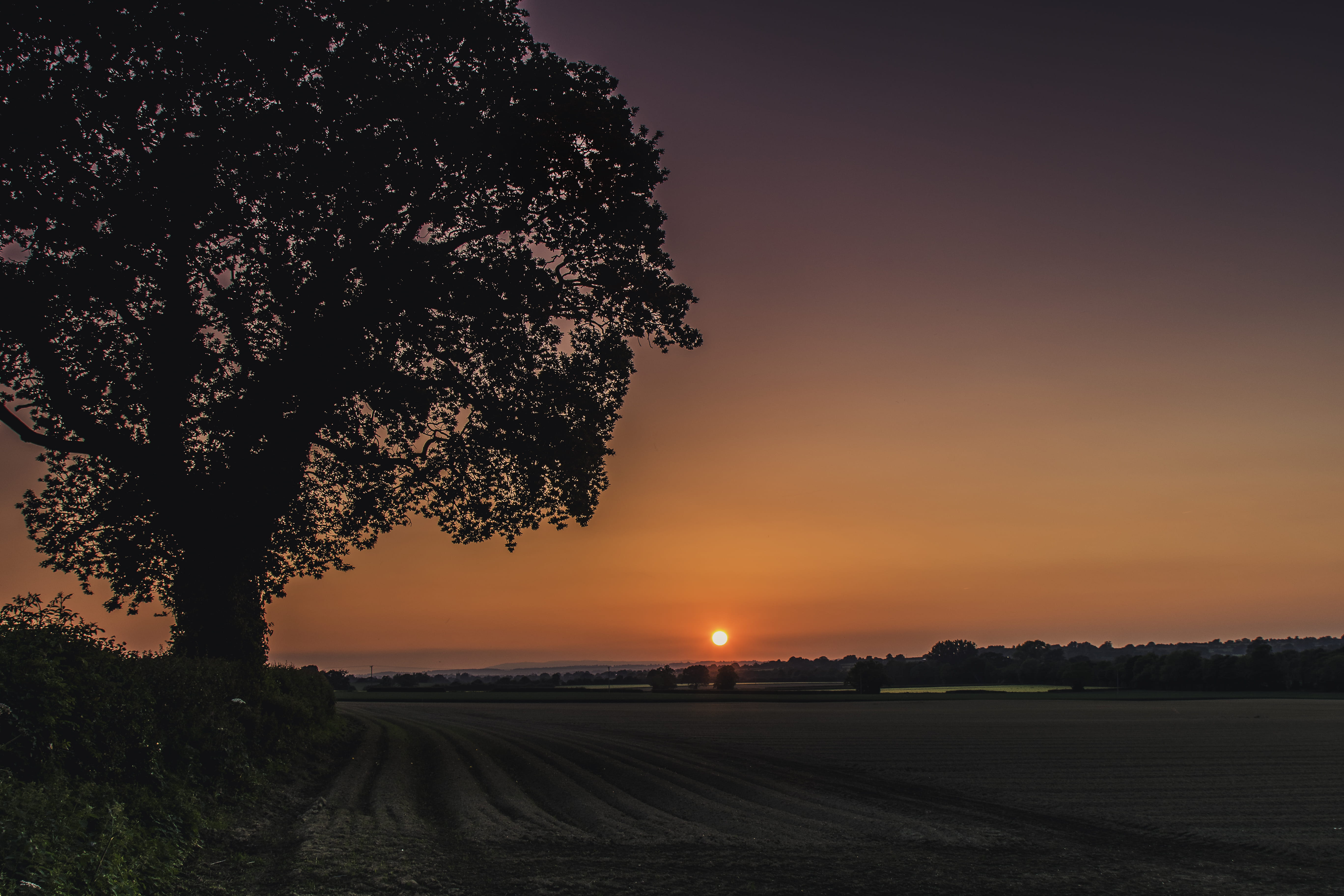 land, sunset, silhouette, nature, tranquil, natural, outdoors, landscape, field, scenics - nature, travel, tranquil scene, 5K, environment, country, no people, HD Wallpaper