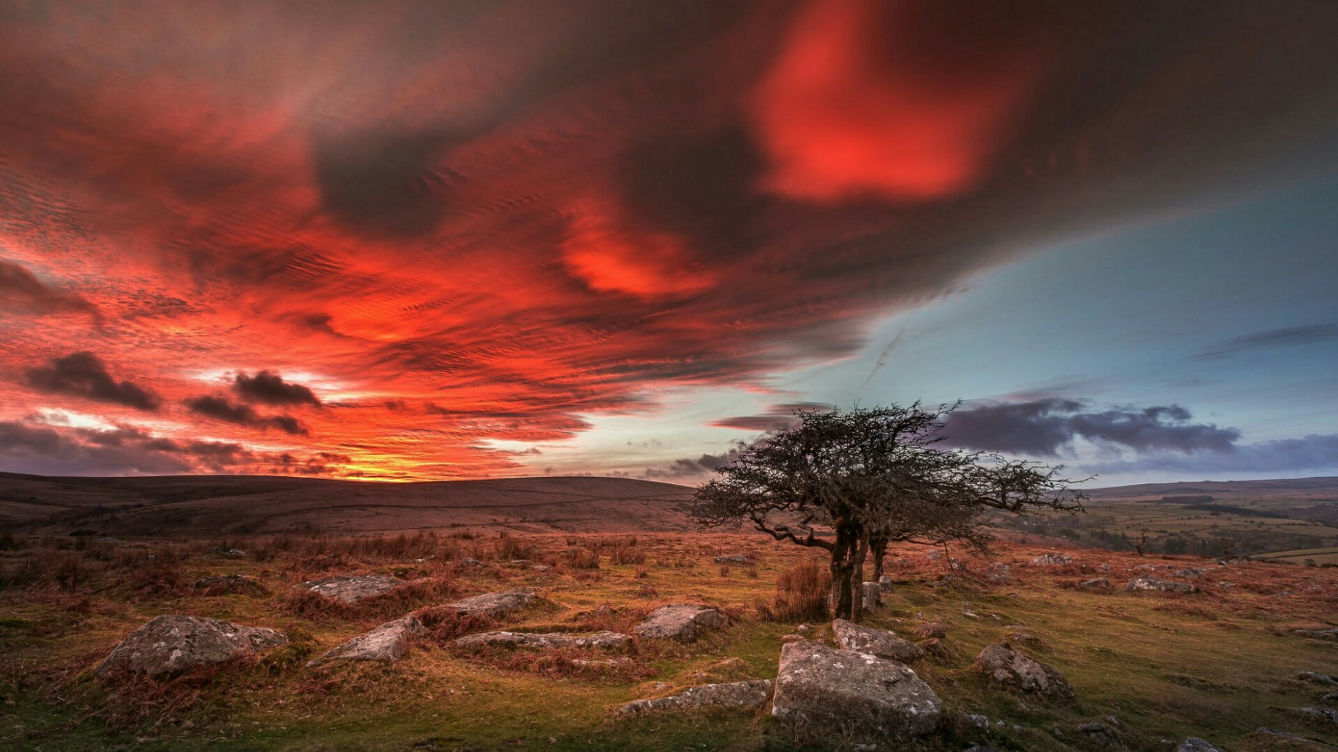 sunset, atmosphere, semi-arid, 1080P, lonely tree, environment, nature, landscape, dramatic sky, cloud, dartmor, red sky, no people, scenics - nature, HD Wallpaper