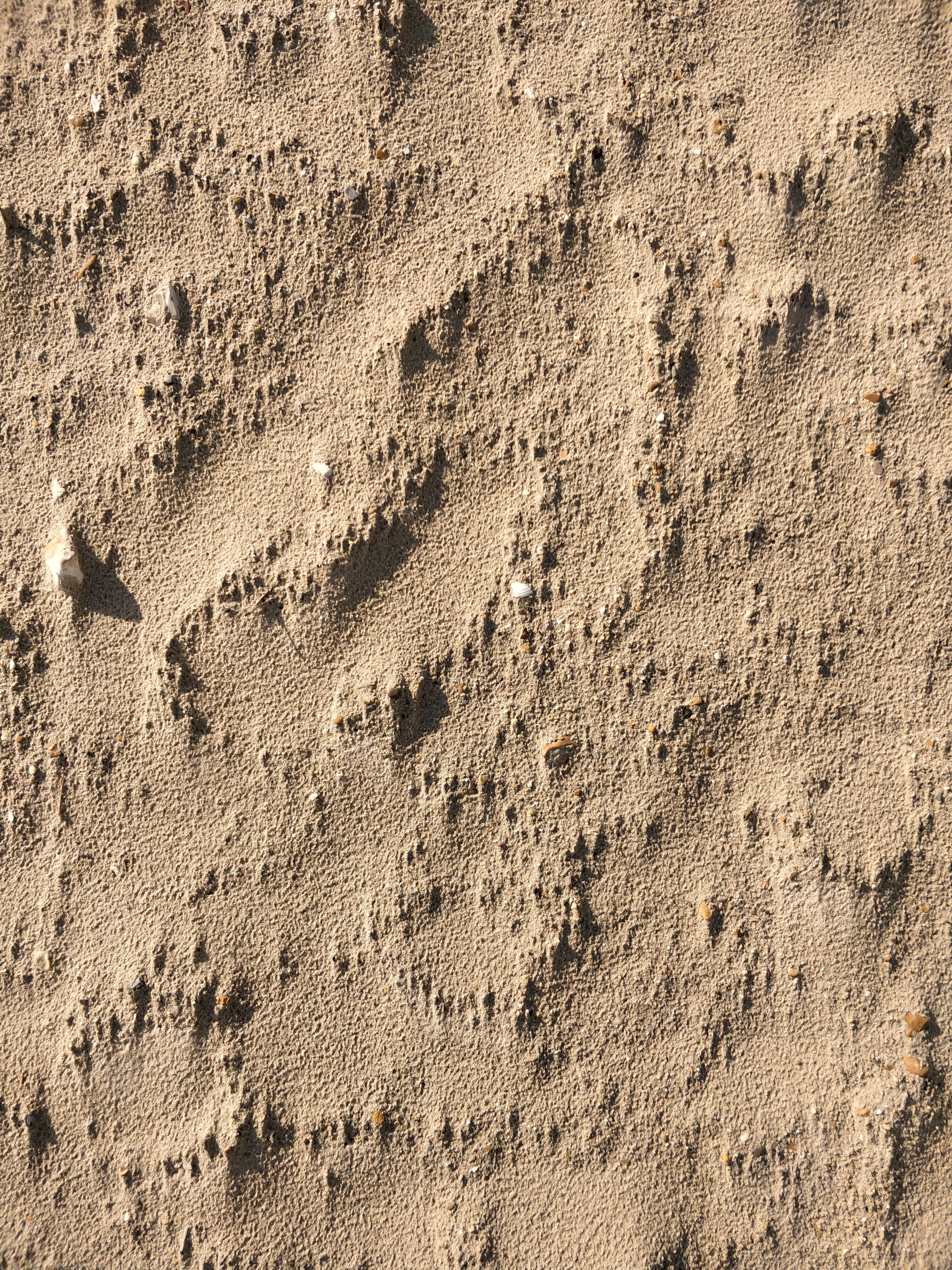 beach, outdoors, shadows, bournemouth, land, full frame, rough, footprint, day, seaside, track - imprint, sand, bournemouth beach, sun, print, Phone HD Wallpaper