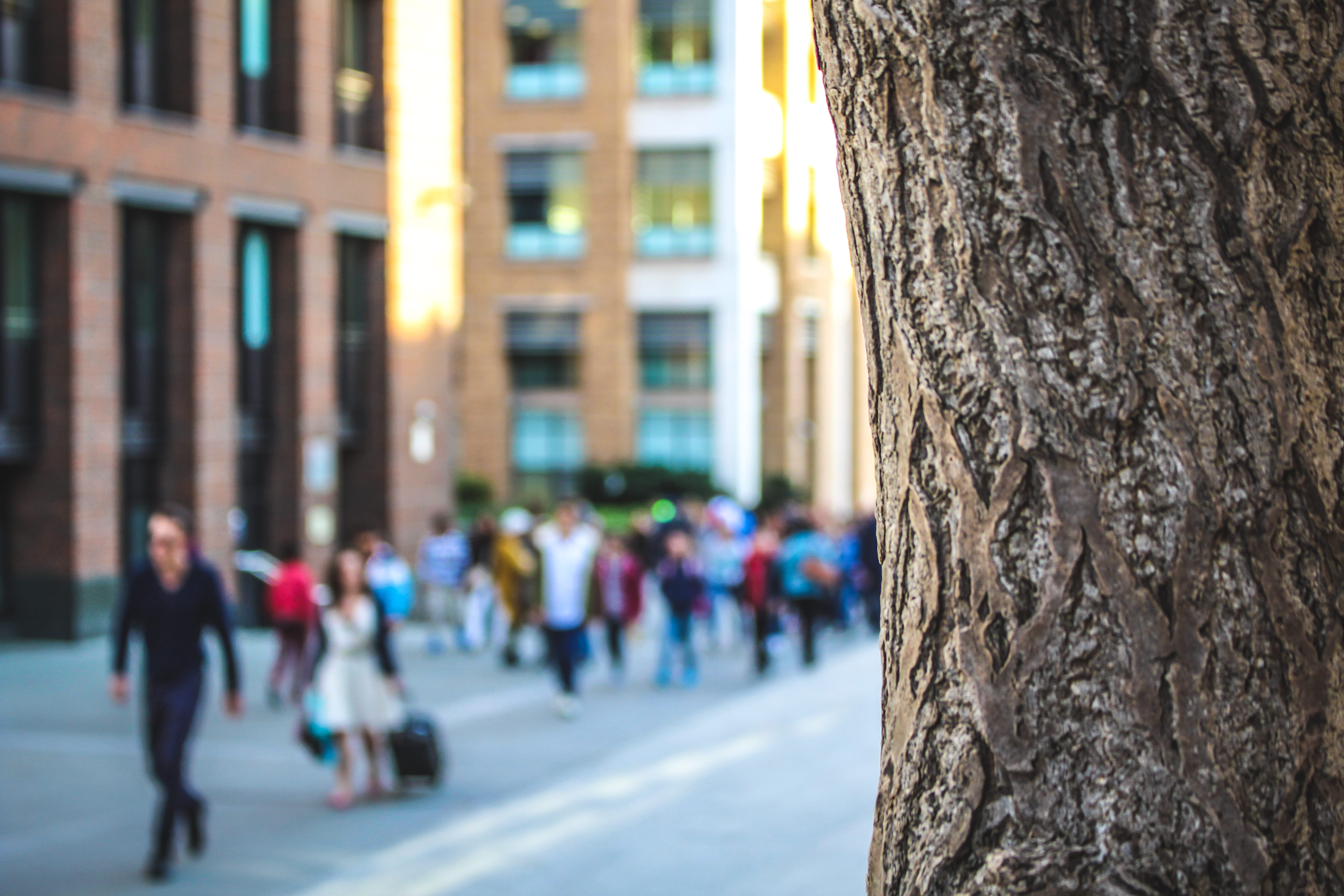 walking, city, group of people, blur, tree trunk, built structure, street, architecture, london, men, trunk, real people, nature, outdoor, 5K, light, sun, HD Wallpaper