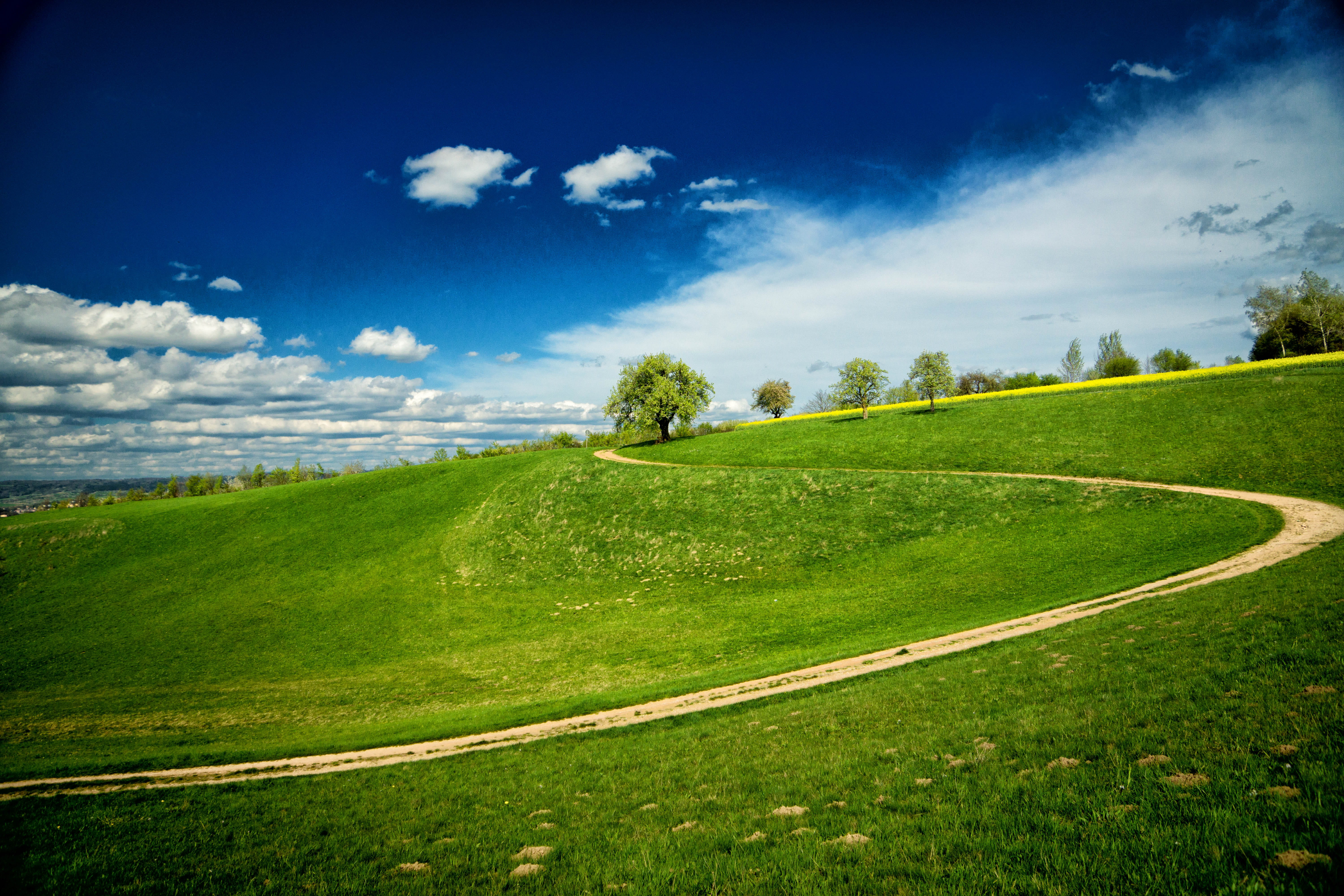 environment, no people, tranquility, meadow, scenics - nature, pasture, tree, farm track, outdoors, slope, tranquil scene, transportation, cloud - sky, HD Wallpaper
