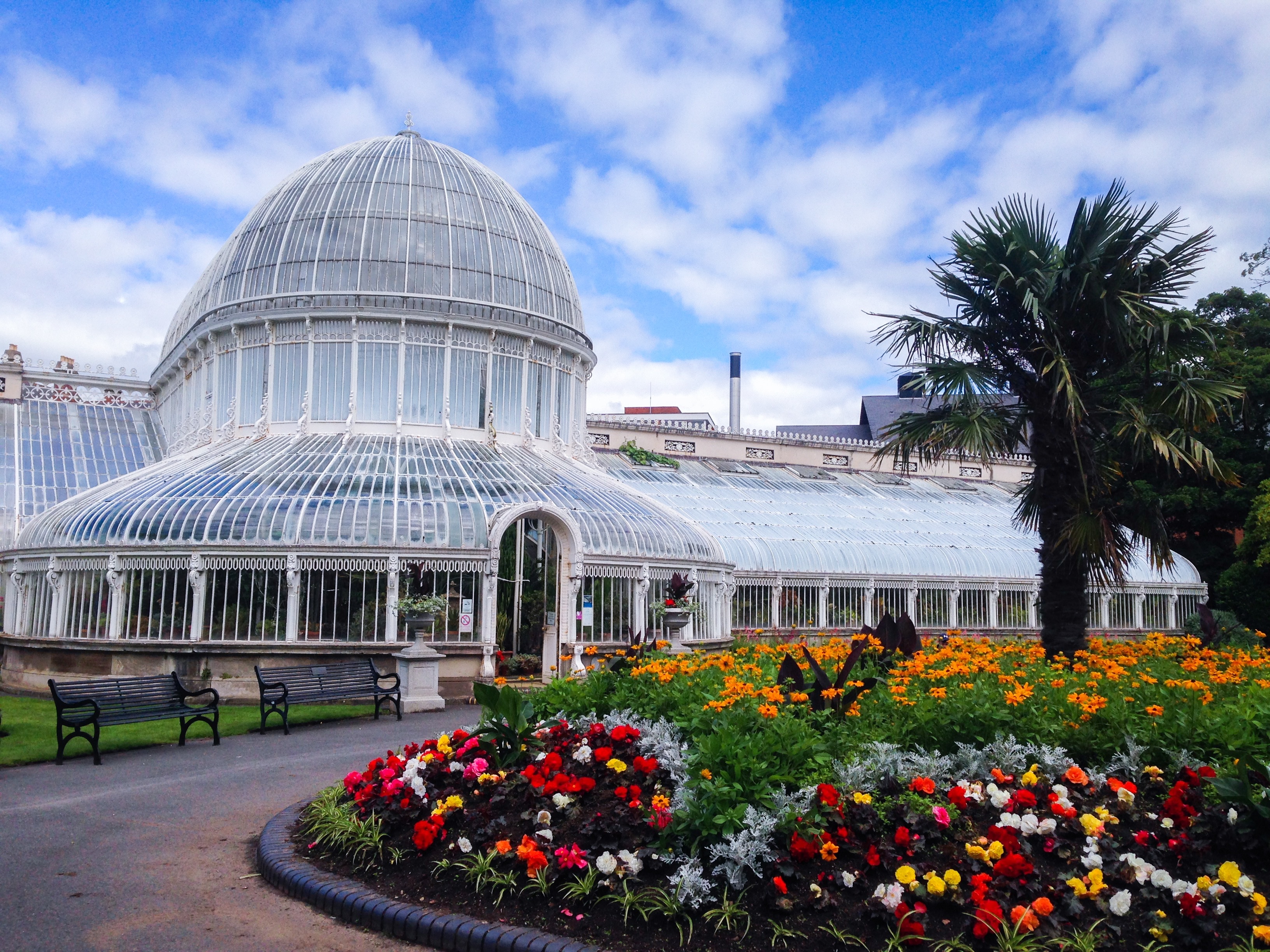 scenery, travel destinations, growth, flowering plant, ireland, agriculture, city, nobody, building exterior, lane, outdoor, capital, vegetation, place, HD Wallpaper
