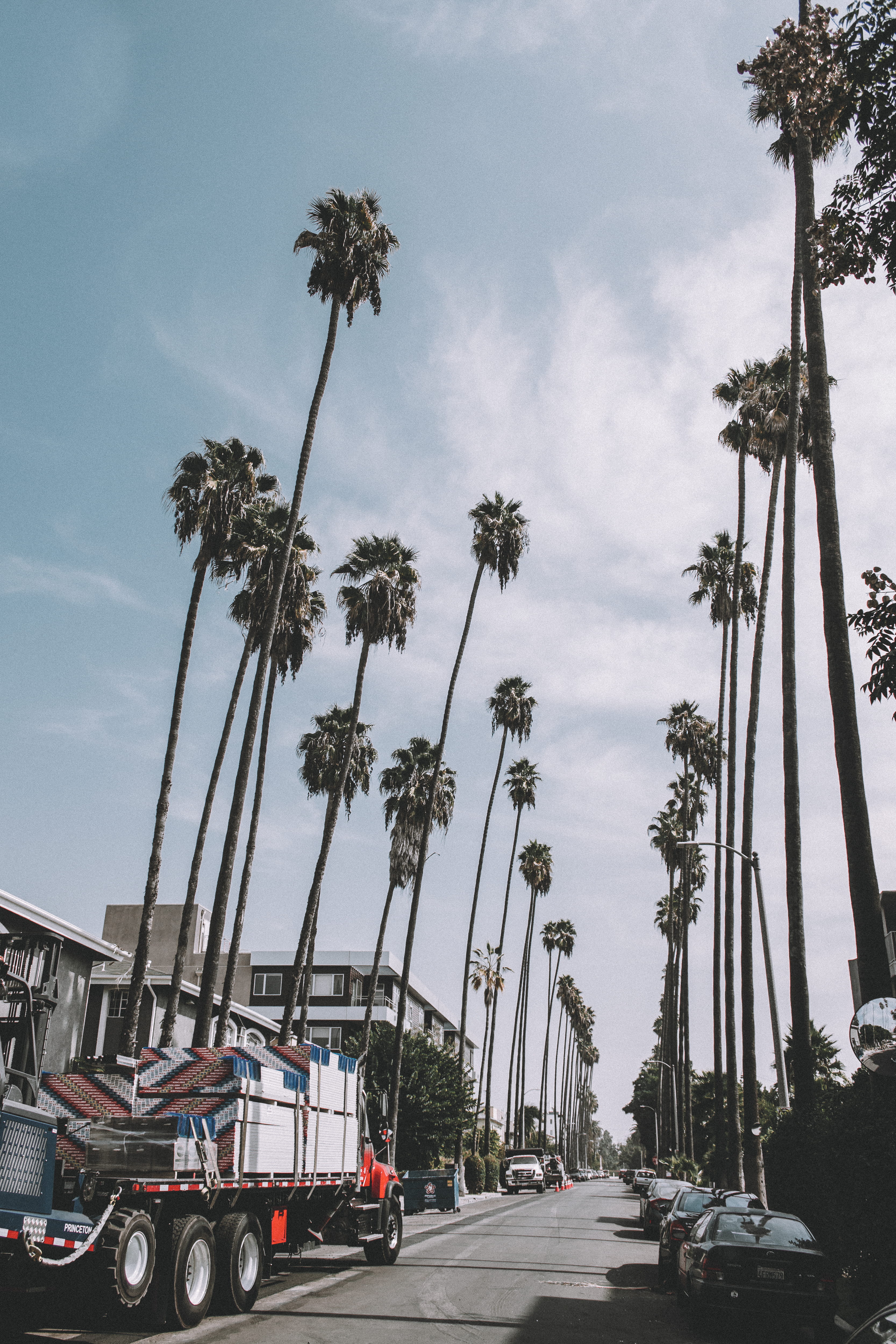 roadway, urban, tropical climate, motor vehicle, cars, tree, lane, parked, asphalt, no people, trees, transportation system, coconut trees, sky, mode of transportation, Phone HD Wallpaper