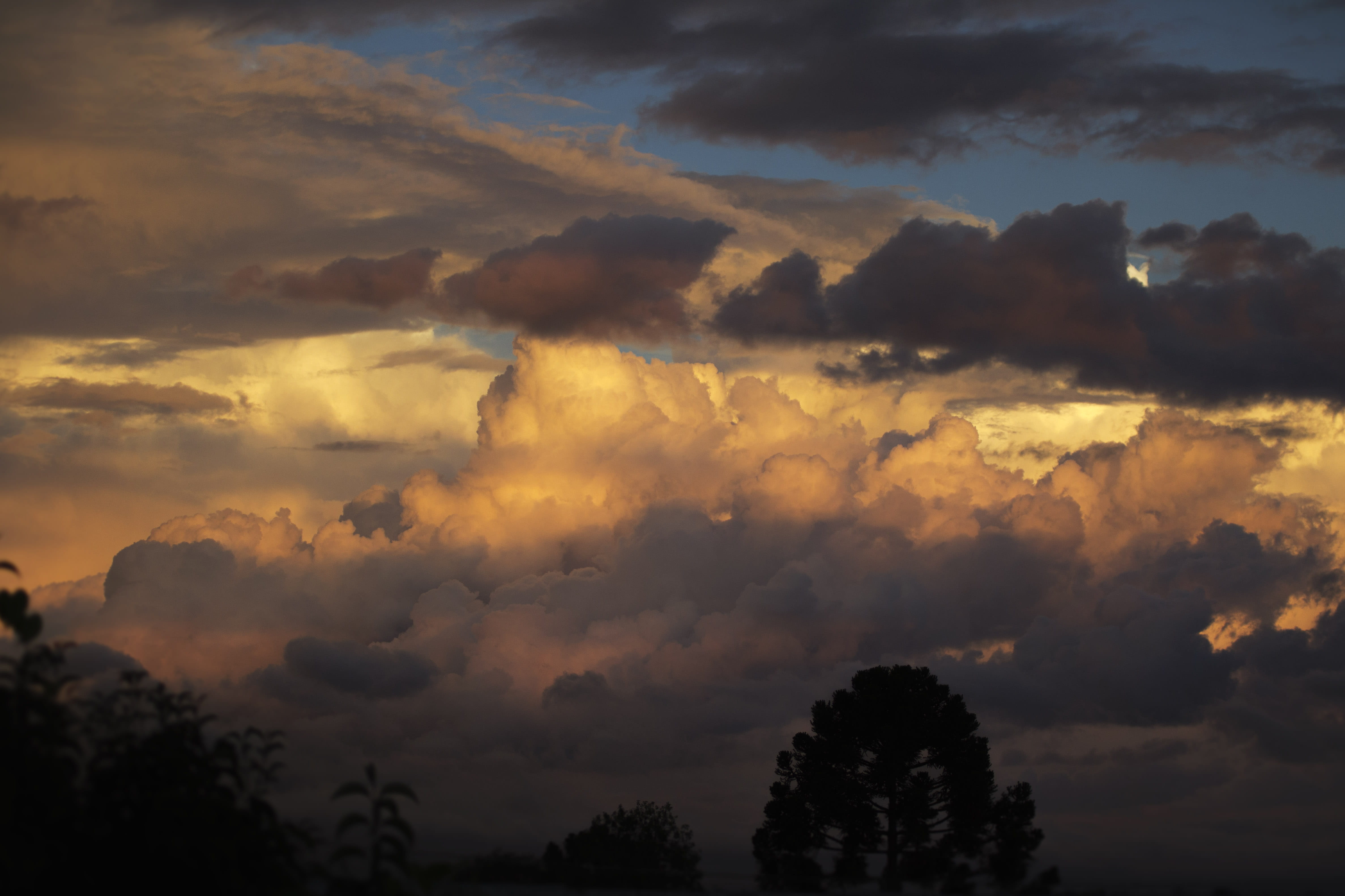 canon, 4K, orange color, dusk, beauty in nature, curitiba, sunset, tranquility, colors, nature, tree, cloud - sky, non-urban scene, scenics - nature, outdoors, HD Wallpaper
