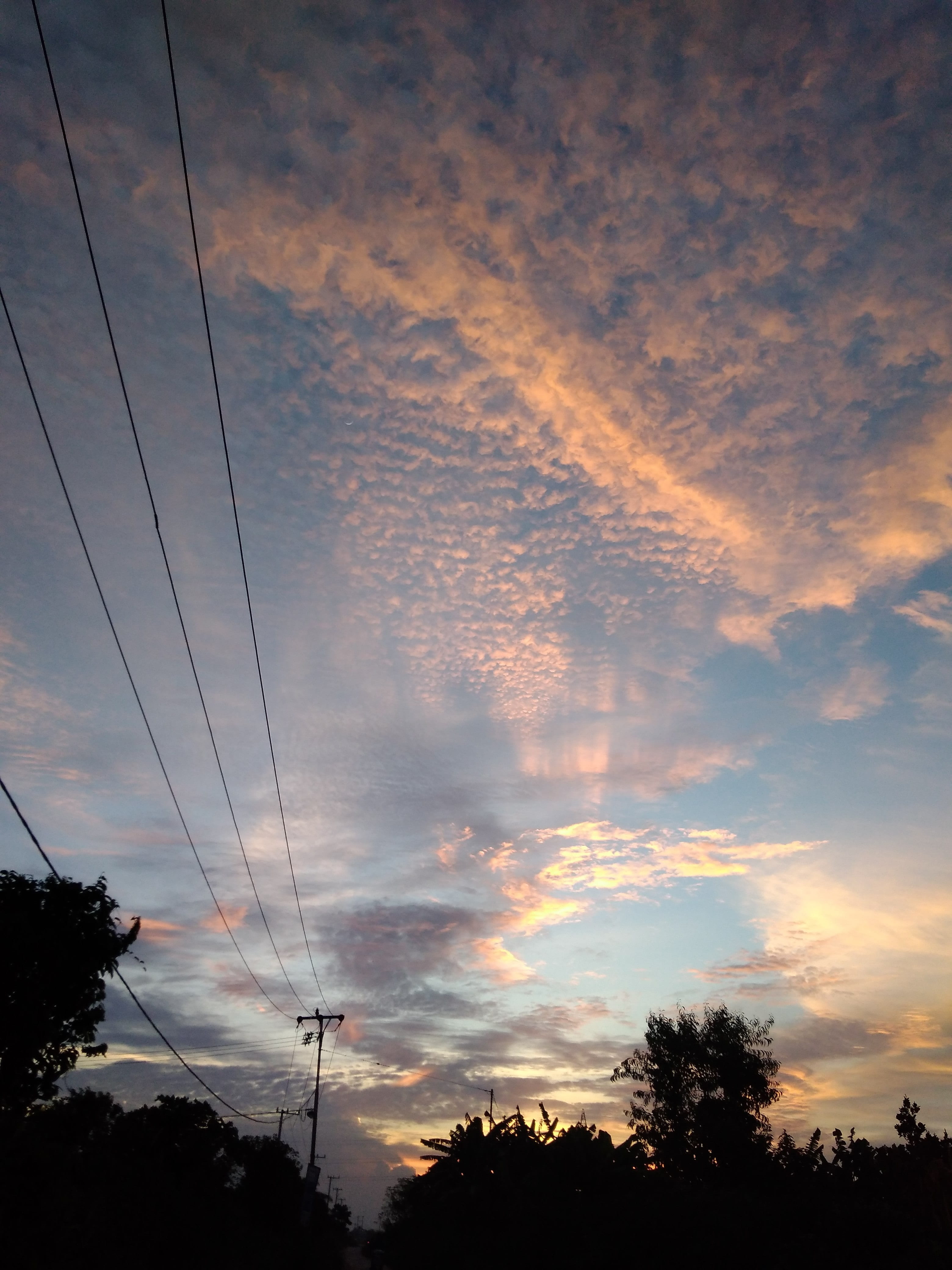 beauty, cloud, power supply, telephone line, sunset, sky, cable, tranquility, power line, cloud - sky, nature, 4K, fuel and power generation, plant, tree, Phone HD Wallpaper