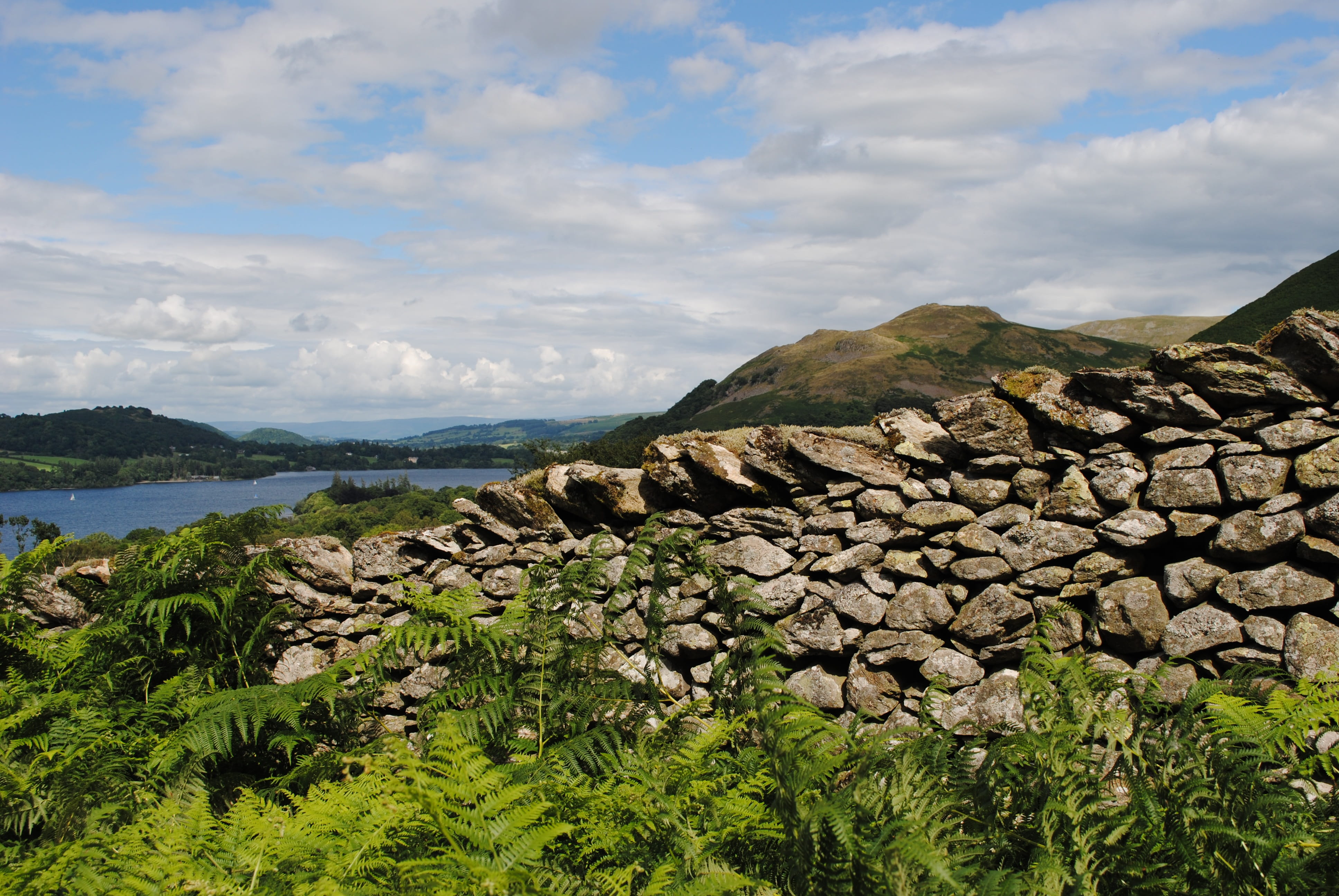 plant, green color, scenic, rock, tree, rock - object, england, english, environment, Lakes, growth, britain, beauty in nature, no people, sky, cloud - sky, HD Wallpaper