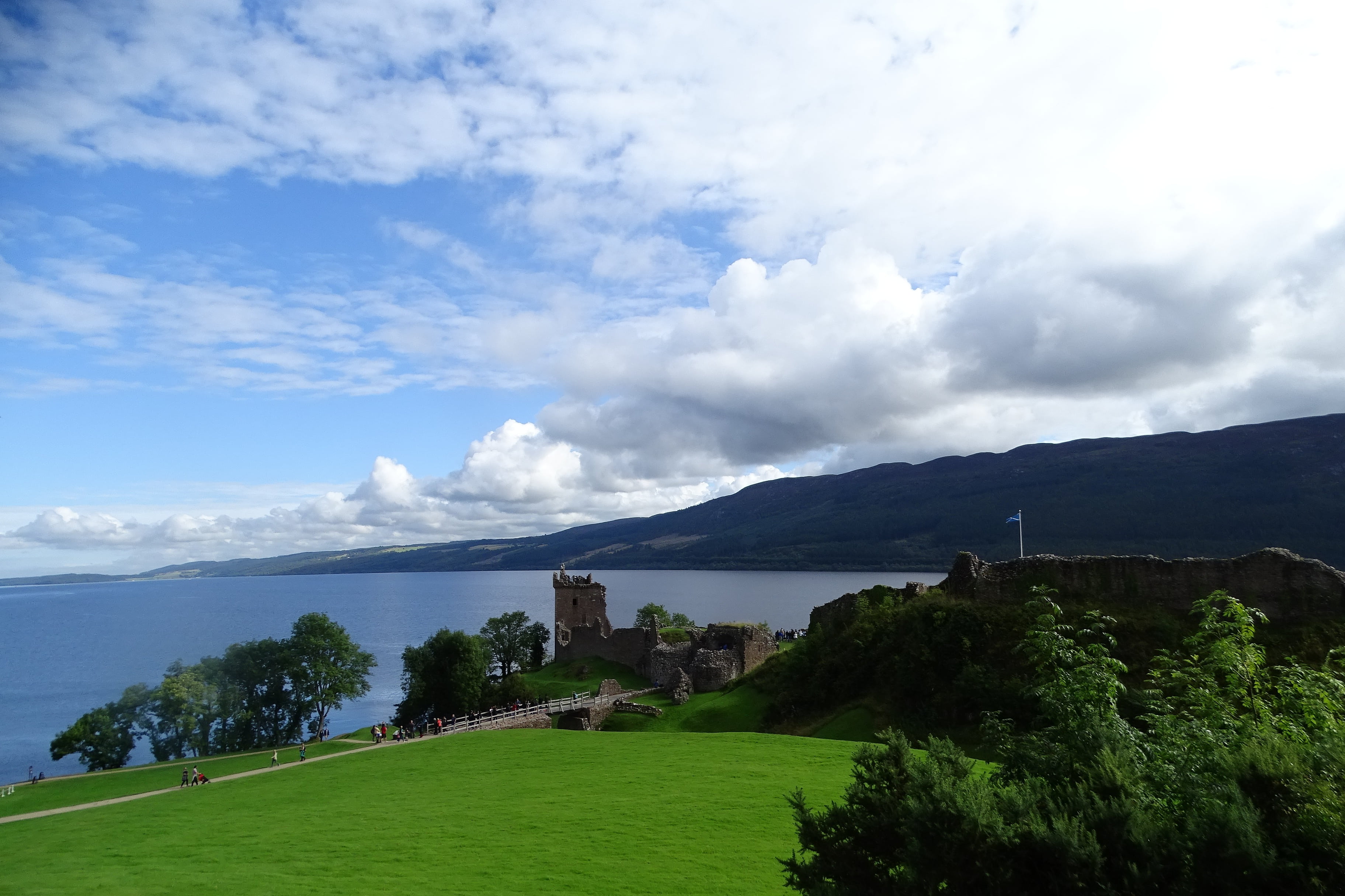 no people, green, grass, green color, near, castle, tree, landscape, scenics - nature, day, places of interest, built structure, lawn, highlands and islands, HD Wallpaper