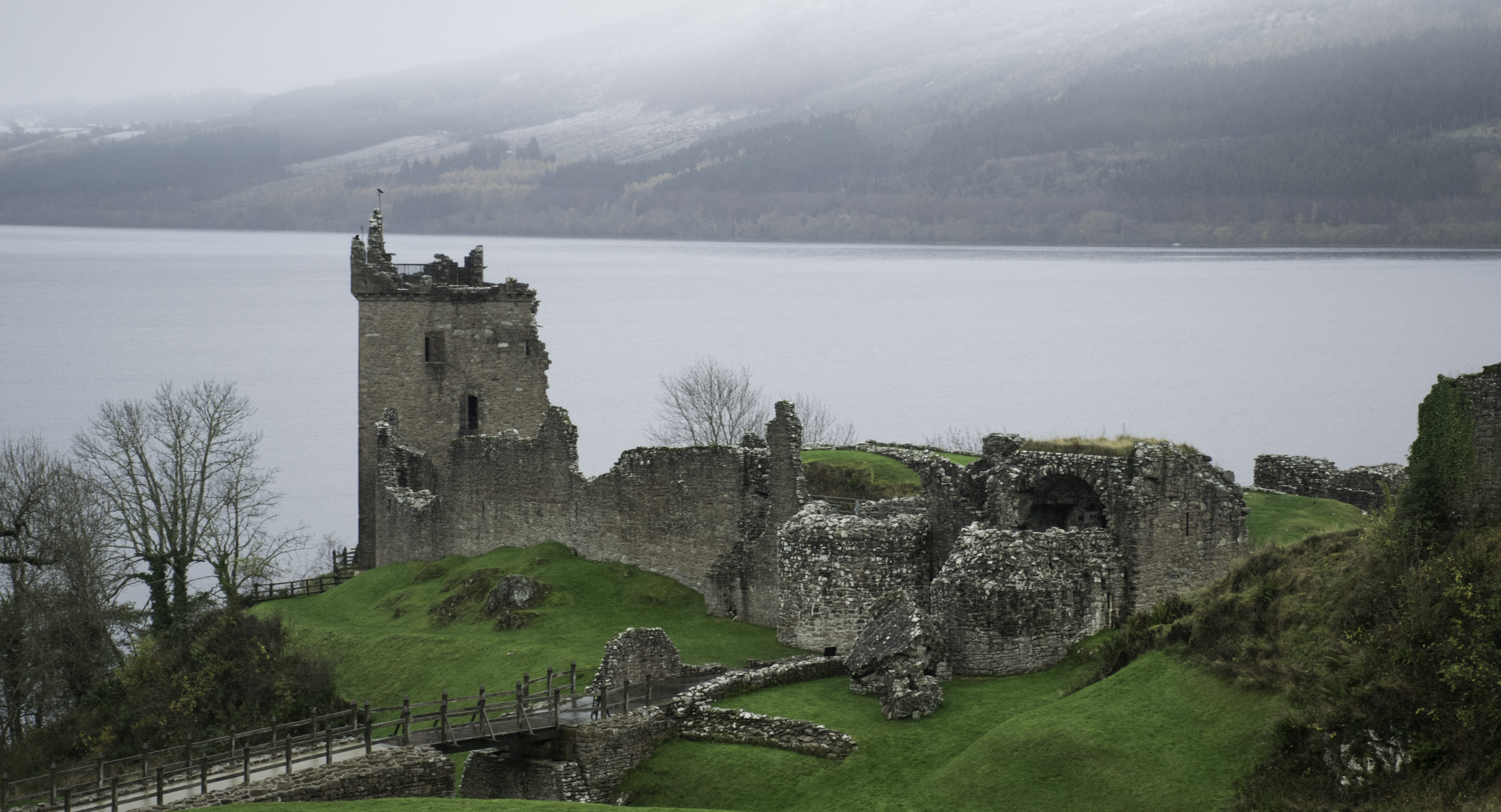 loch ness, built structure, day, sky, winter, nature, stone wall, history, gothic, 5K, old ruin, plant, the past, building exterior, outdoors, castle urquhart, HD Wallpaper