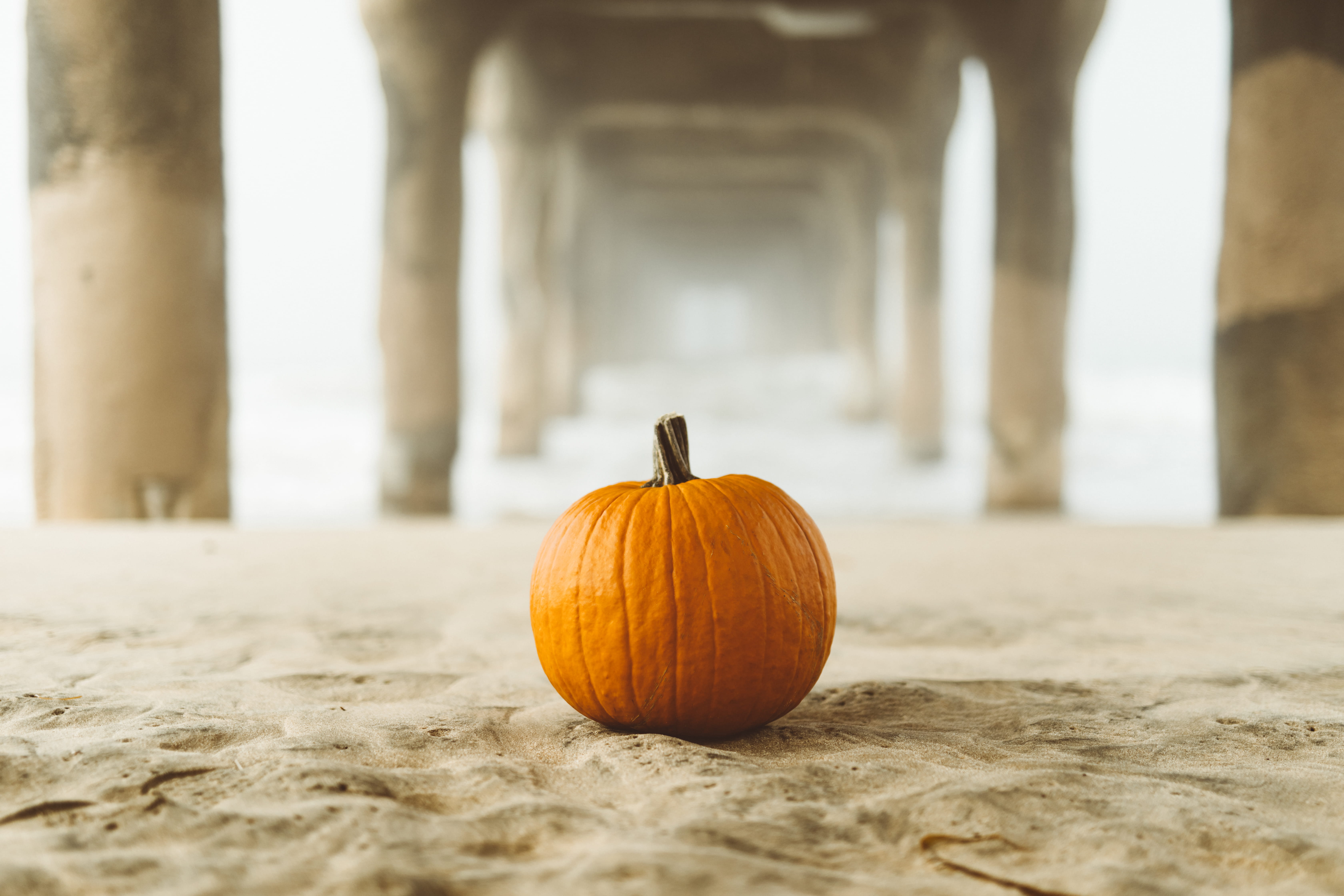 architecture, pier, nature, october, surface level, 5K, orange, no people, architectural column, agriculture, food and drink, single object, beach, celebration, HD Wallpaper