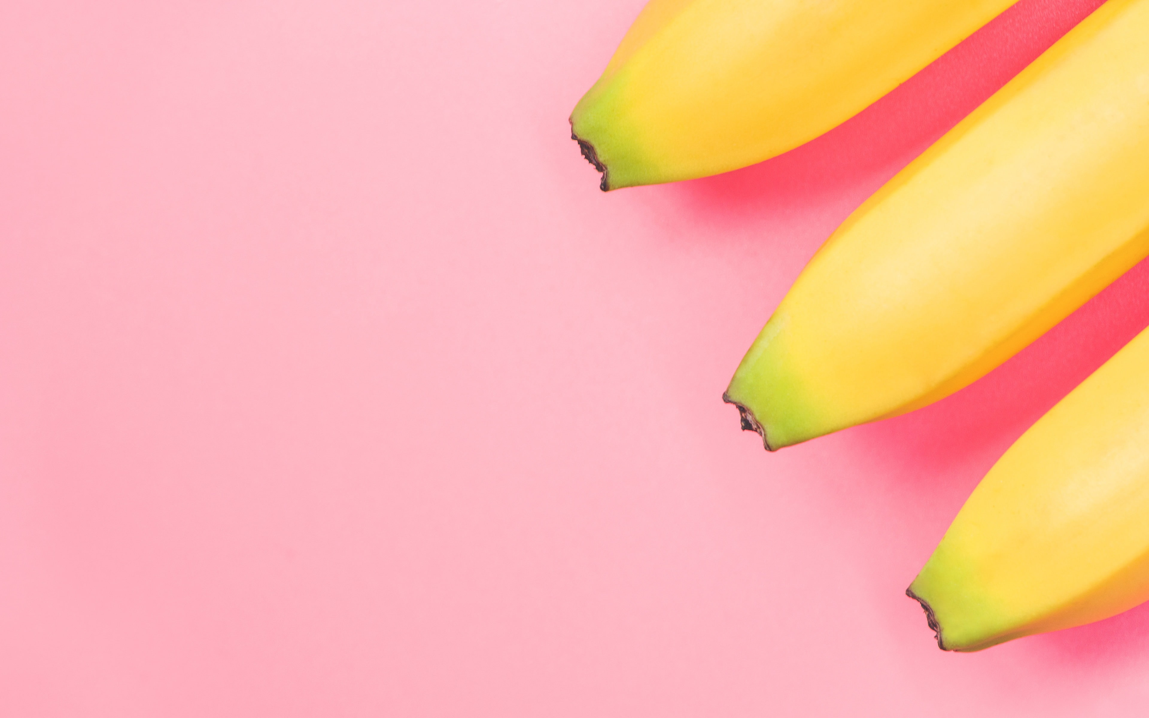 close-up, flower, banana, studio shot, pink color, pink, copy space, healthy eating, vibrant color, colored background, yellow, food, small group of objects, HD Wallpaper