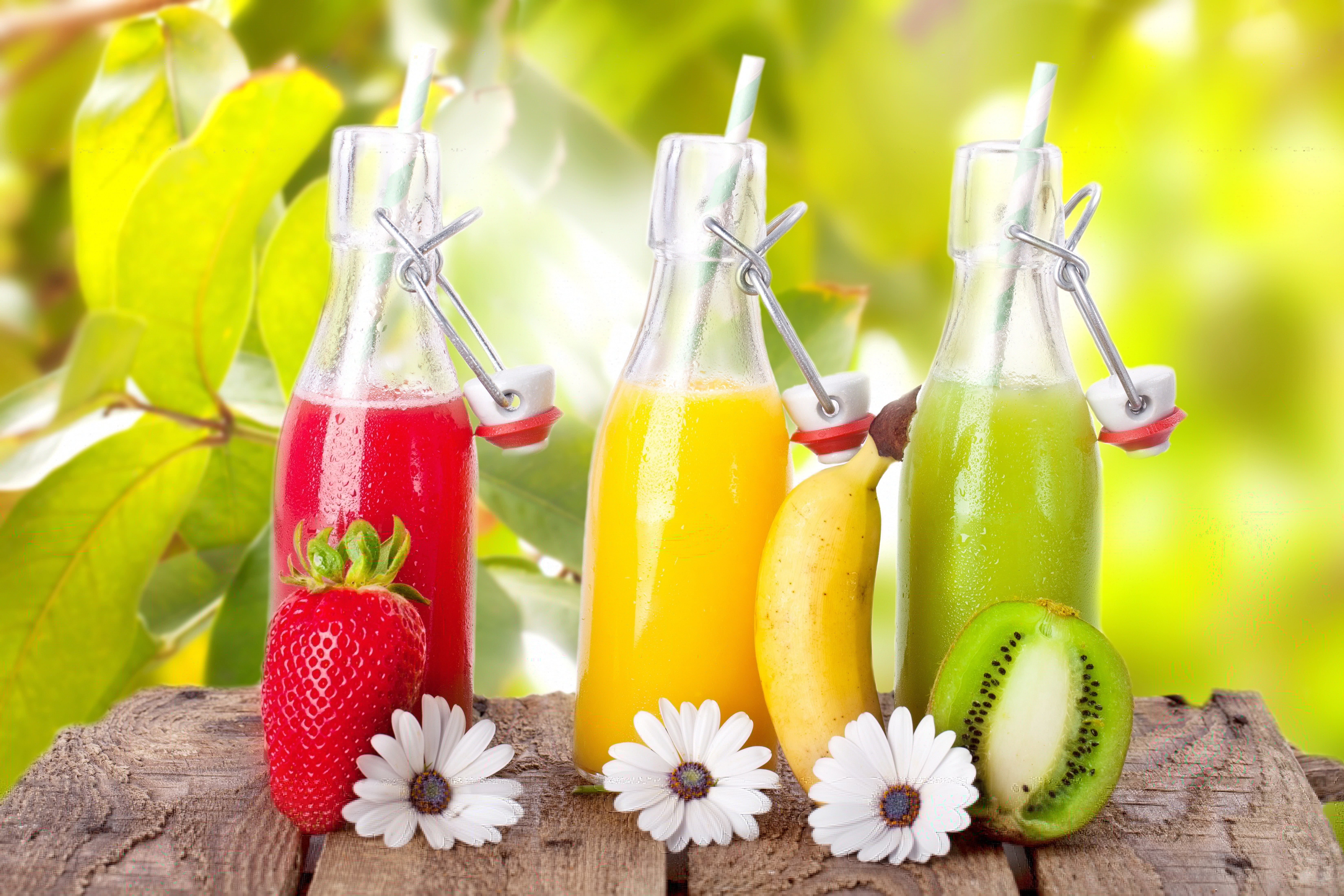 bottle, kiwi, juice, strawberry, banana, flowers, 5K, HD Wallpaper