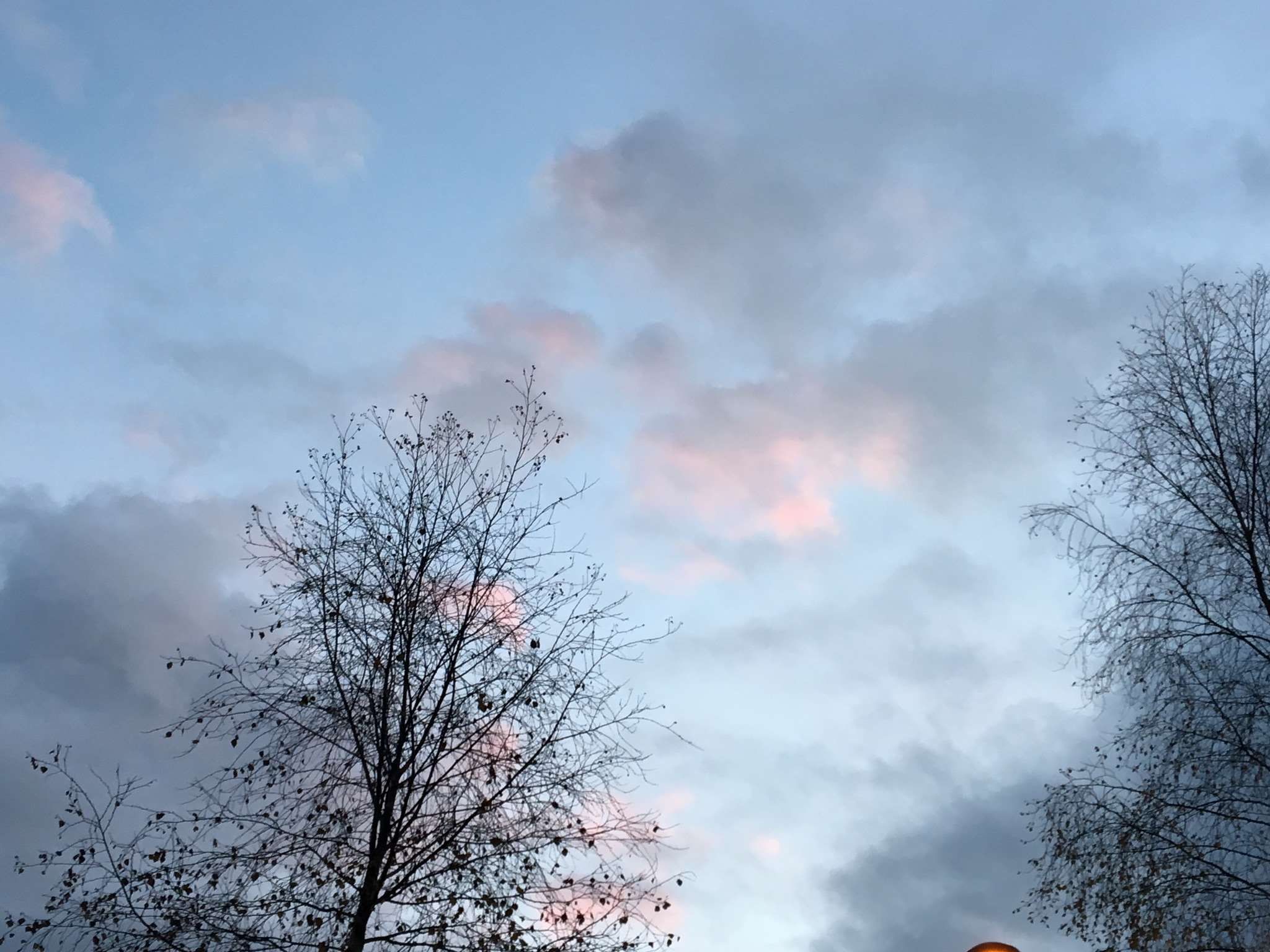 winder, beauty in nature, no people, nature, growth, clouds, cloud - sky, tree, nice, branch, scenics - nature, outdoors, silhouette, bare tree, day, plant, HD Wallpaper
