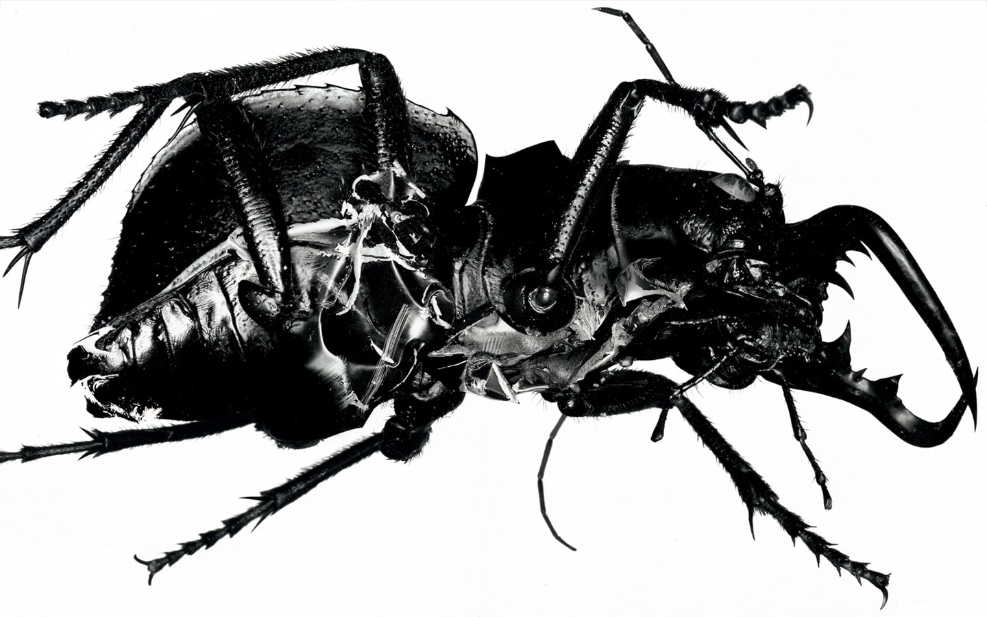 720P, Music, Massive Attack, HD Wallpaper