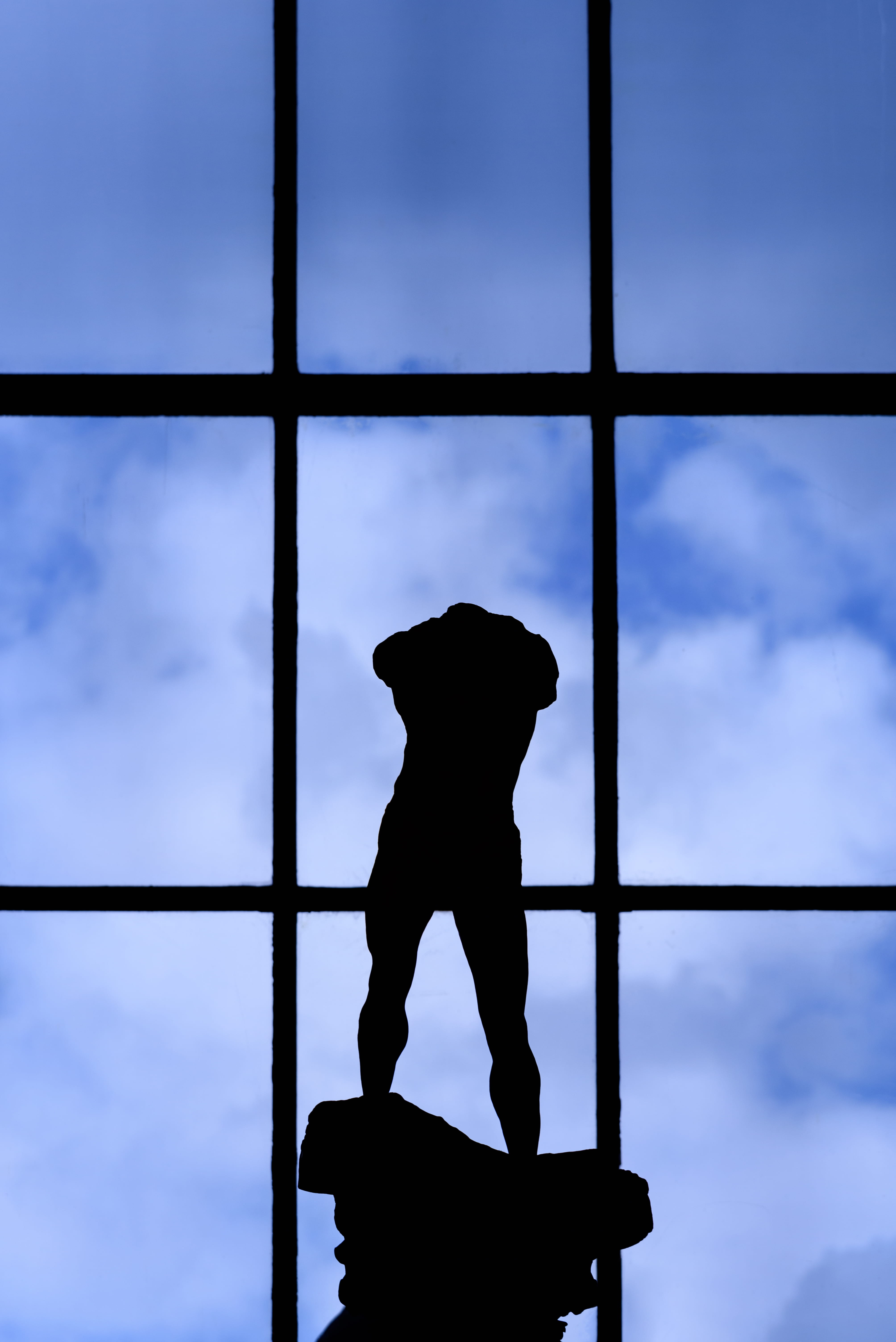 auguste, real people, outdoors, metal, grand, man, pattern, mammal, nature, silhouette, 5K, paris, transparent, sky, day, palais, rodin, statue, low angle view, Phone HD Wallpaper