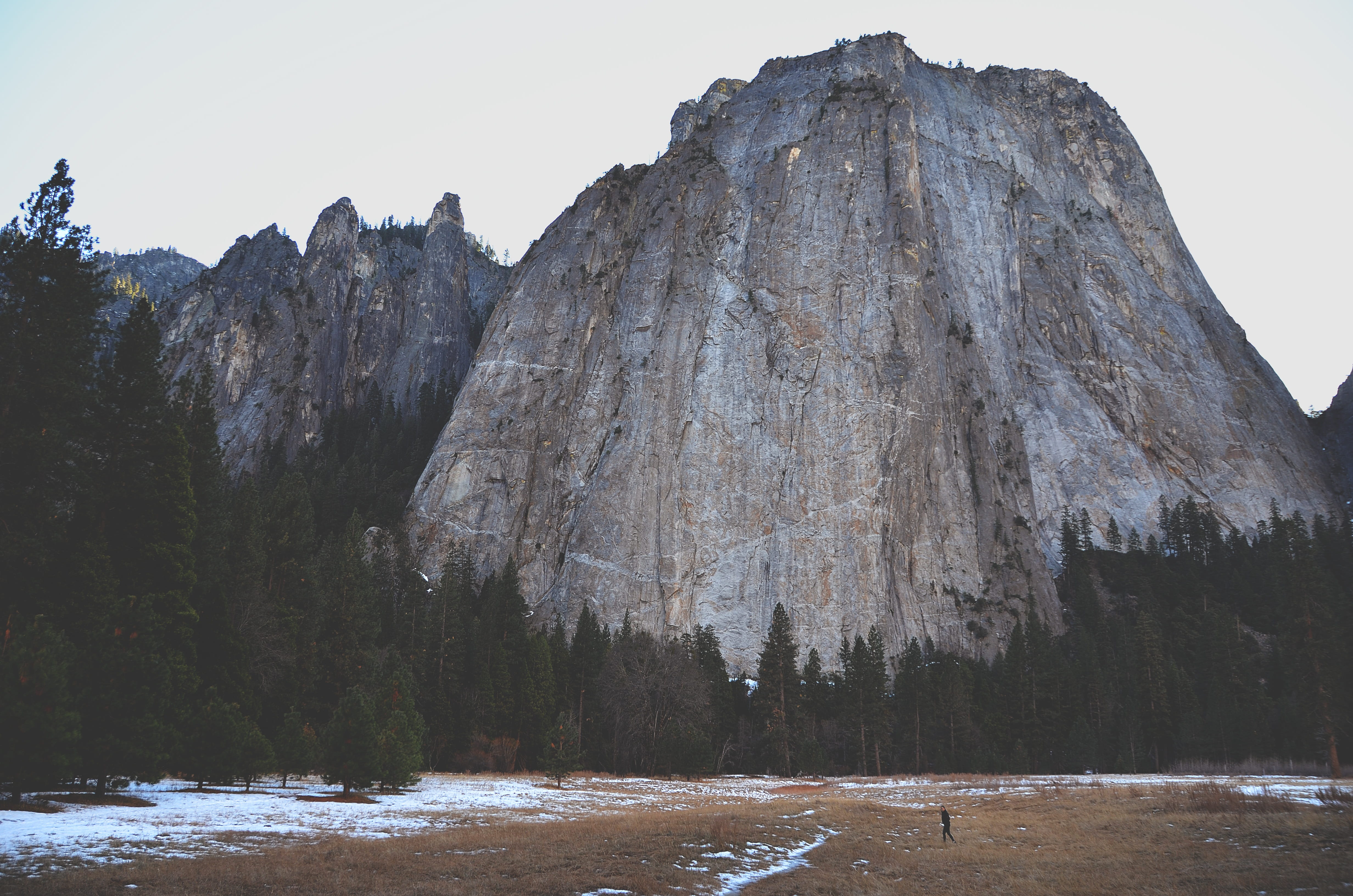 extreme, rock formation, massive, tree, no people, day, climbing, high, solid, rock - object, nature, water, mountain, eroded, huge, challenge, yosemite national park, HD Wallpaper