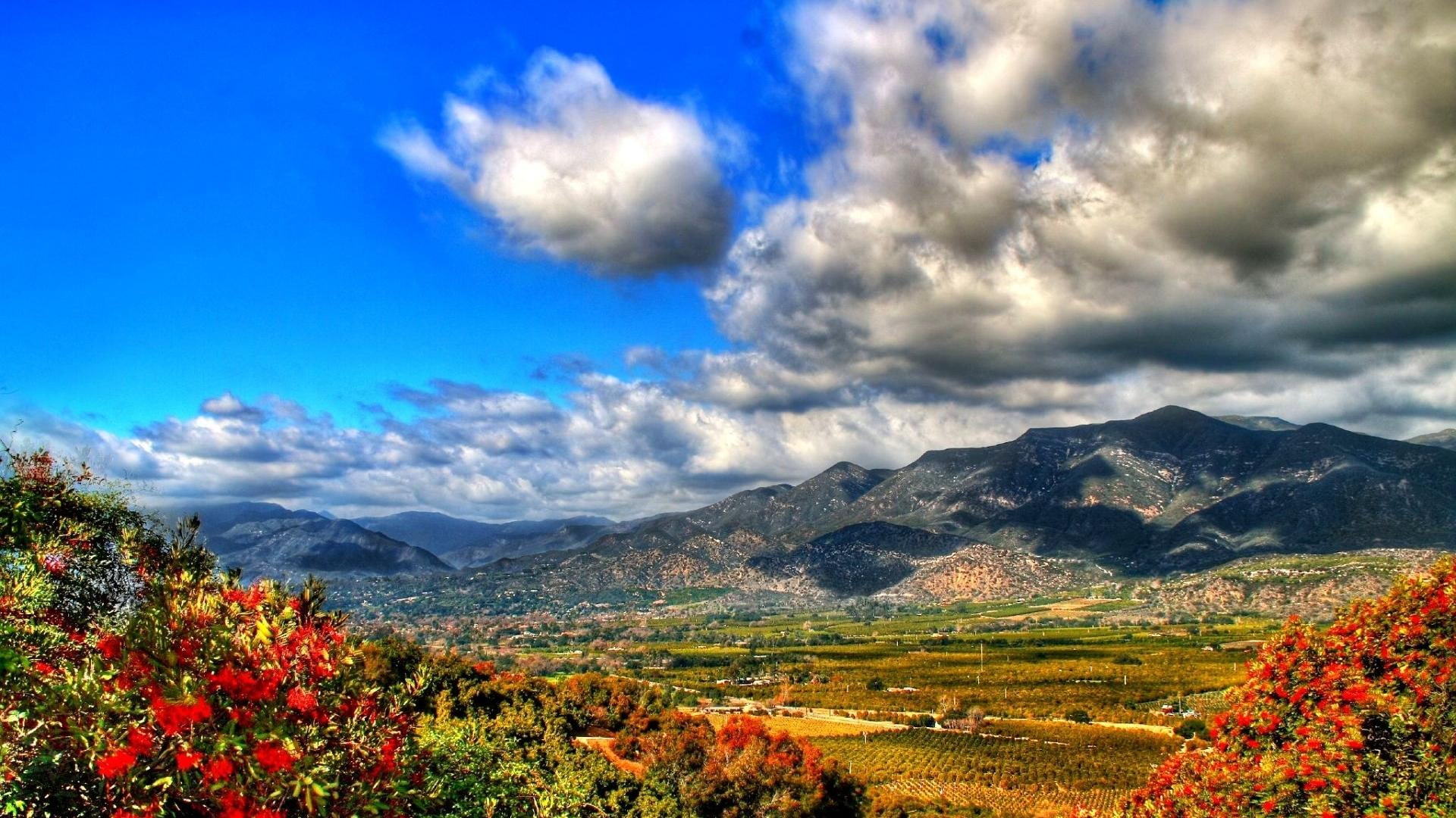 green, view, grass, field, flowers, landscape, 1080P, mountains, colors, great, 3d and abstr, beautiful, clouds, nature, HD Wallpaper