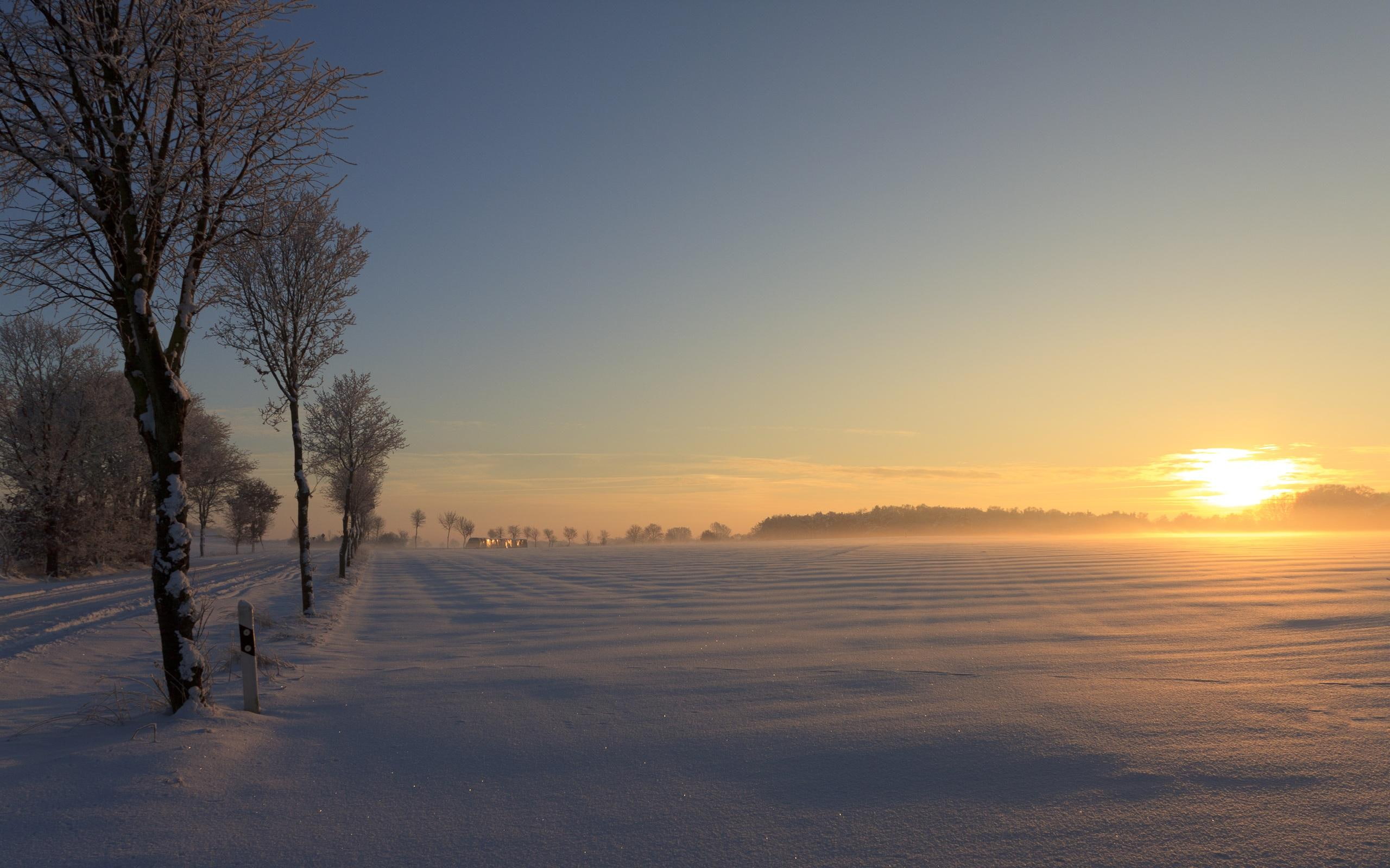 beautiful, trees, sunset, field, golden, sunsets, nature, winter, clear, german, 2K, rural, colors, 3d and abstr, snow, HD Wallpaper