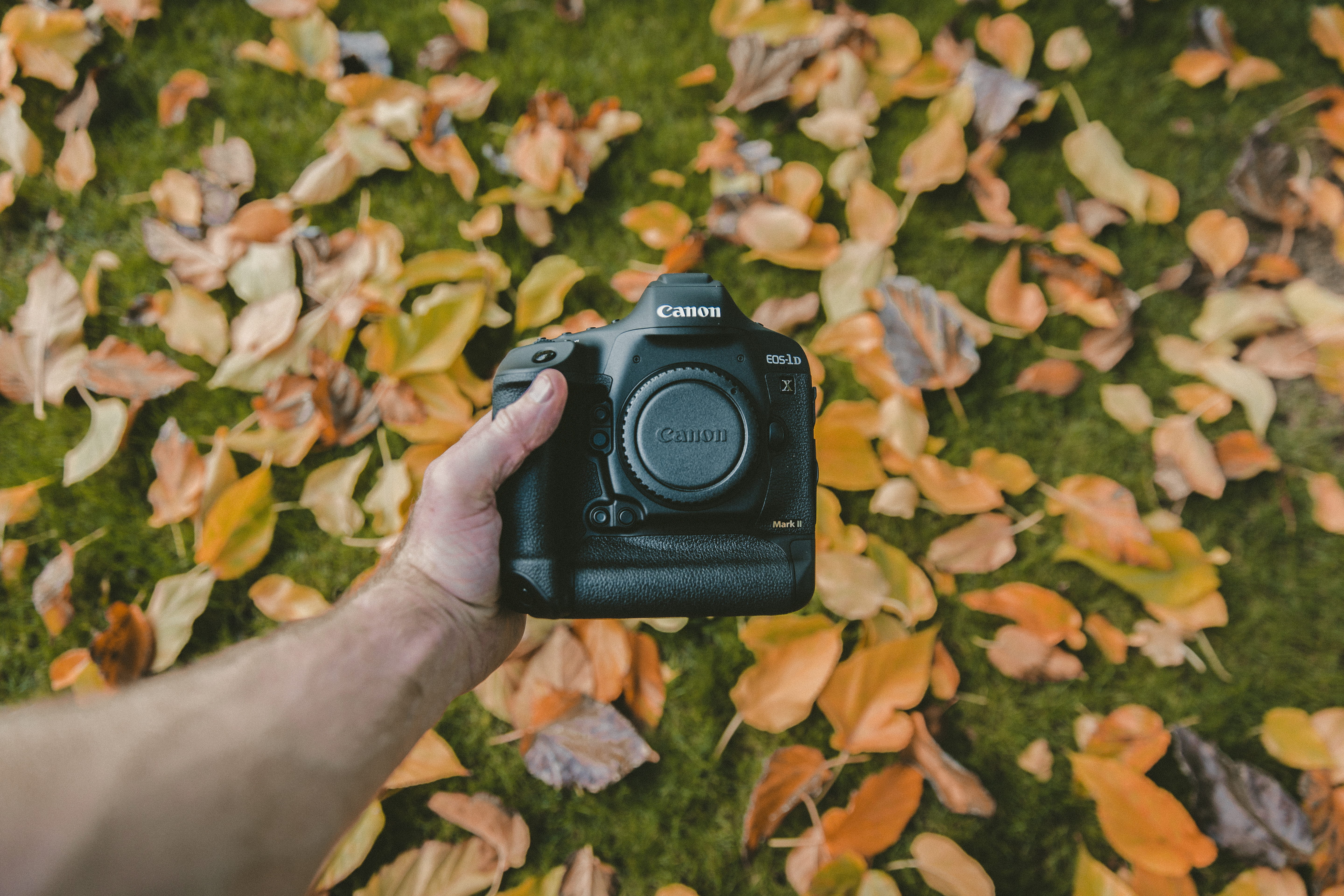 human body part, activity, leaf, digital camera, gear, equipment, 1dxmarkii, one person, photography, technology, leisure activity, plant part, camera, HD Wallpaper