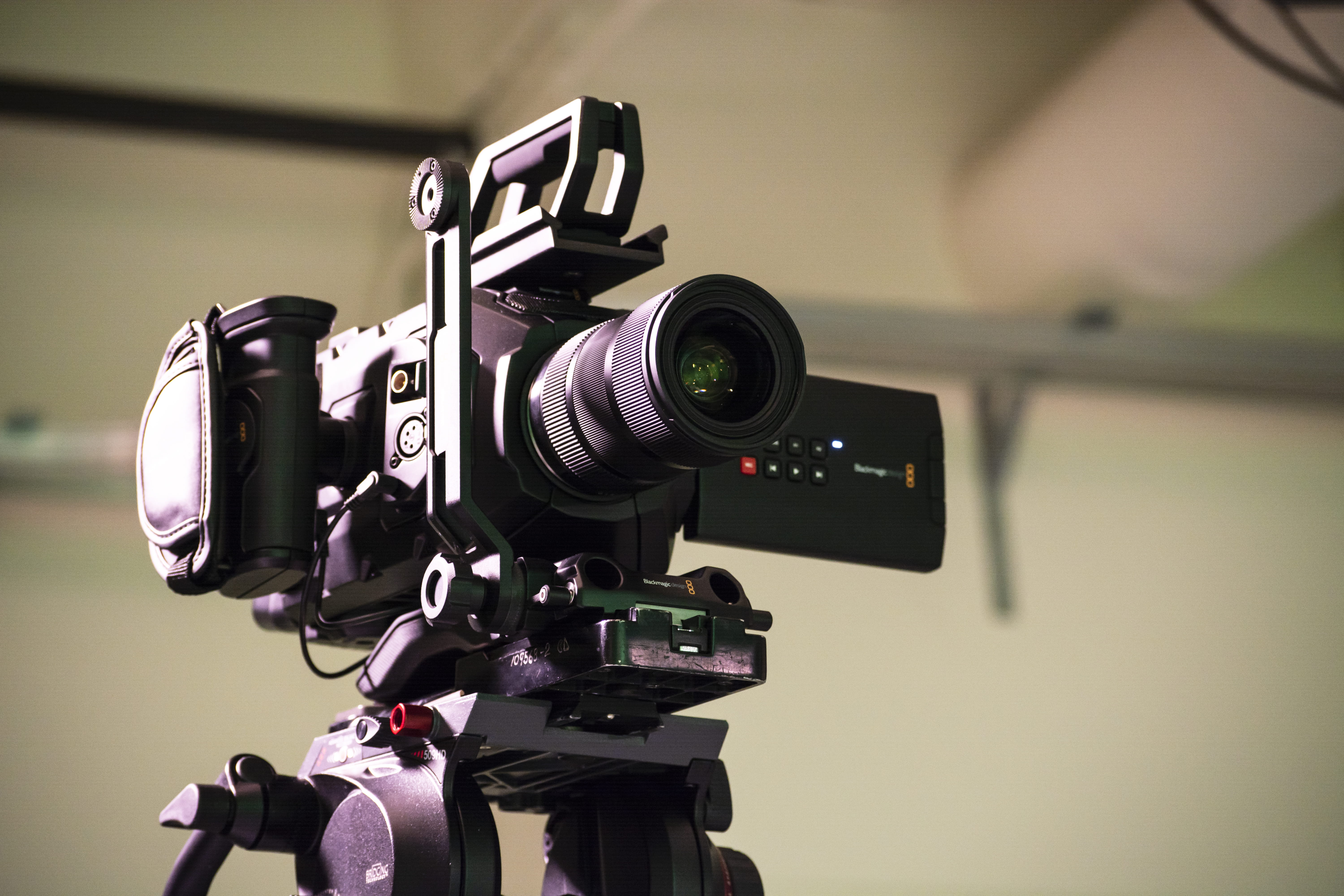 monitor, cushion, vegetation, photographic equipment, display, video, filming, plant, nature, the media, projector, no people, film industry, digital camera, HD Wallpaper