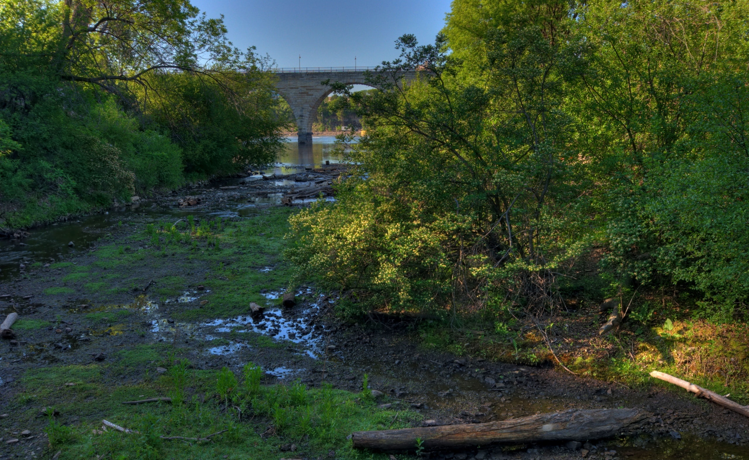 tranquility, tree, arch bridge, forest, bridge - man made structure, beauty in nature, River, flowing, no people, water, stream - flowing water, Mississippi, HD Wallpaper