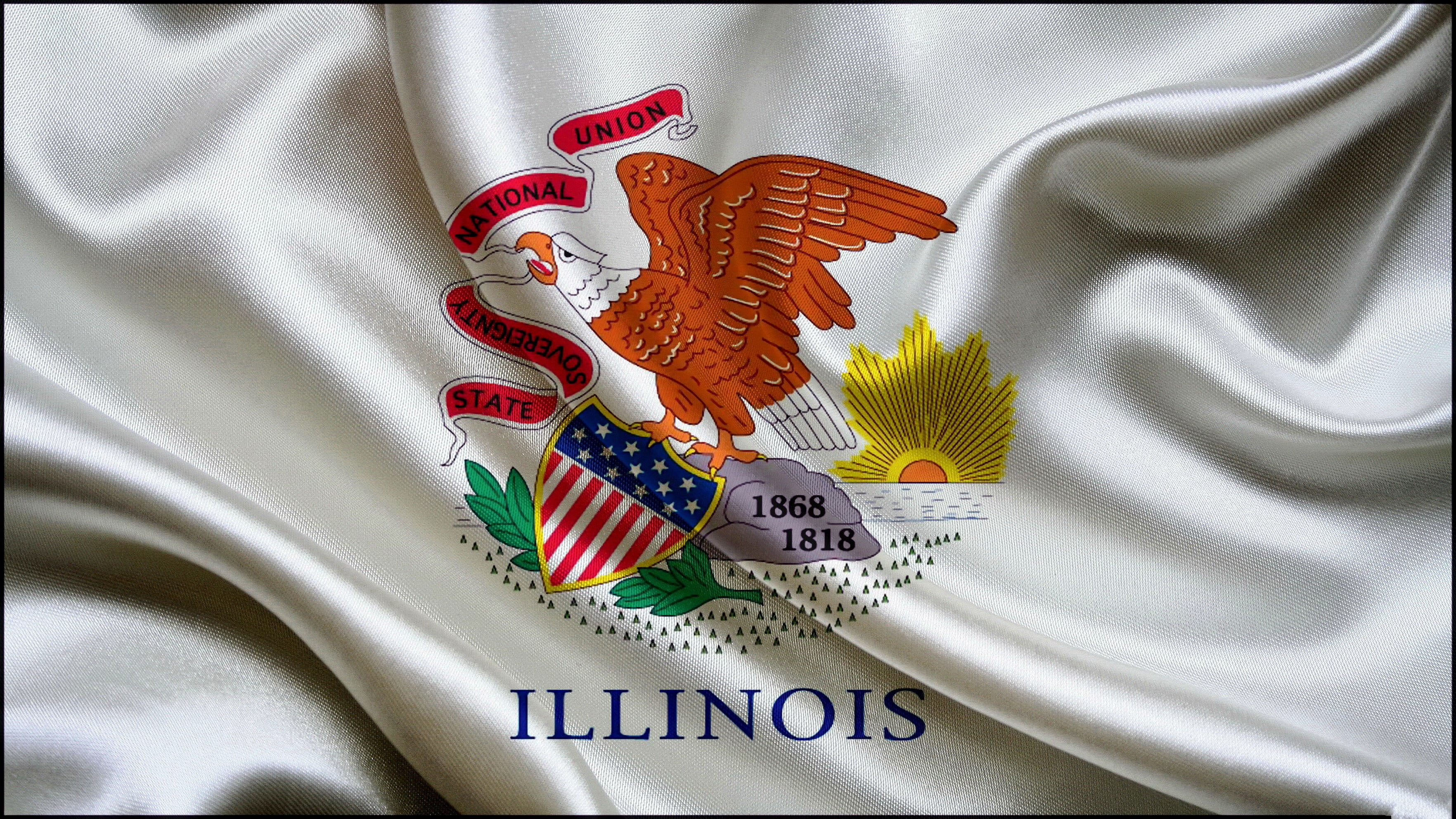 arts culture and entertainment, close-up, communication, patriotism, celebration, indoors, Illinois, animal, western script, 2K, textile, still life, representation, HD Wallpaper
