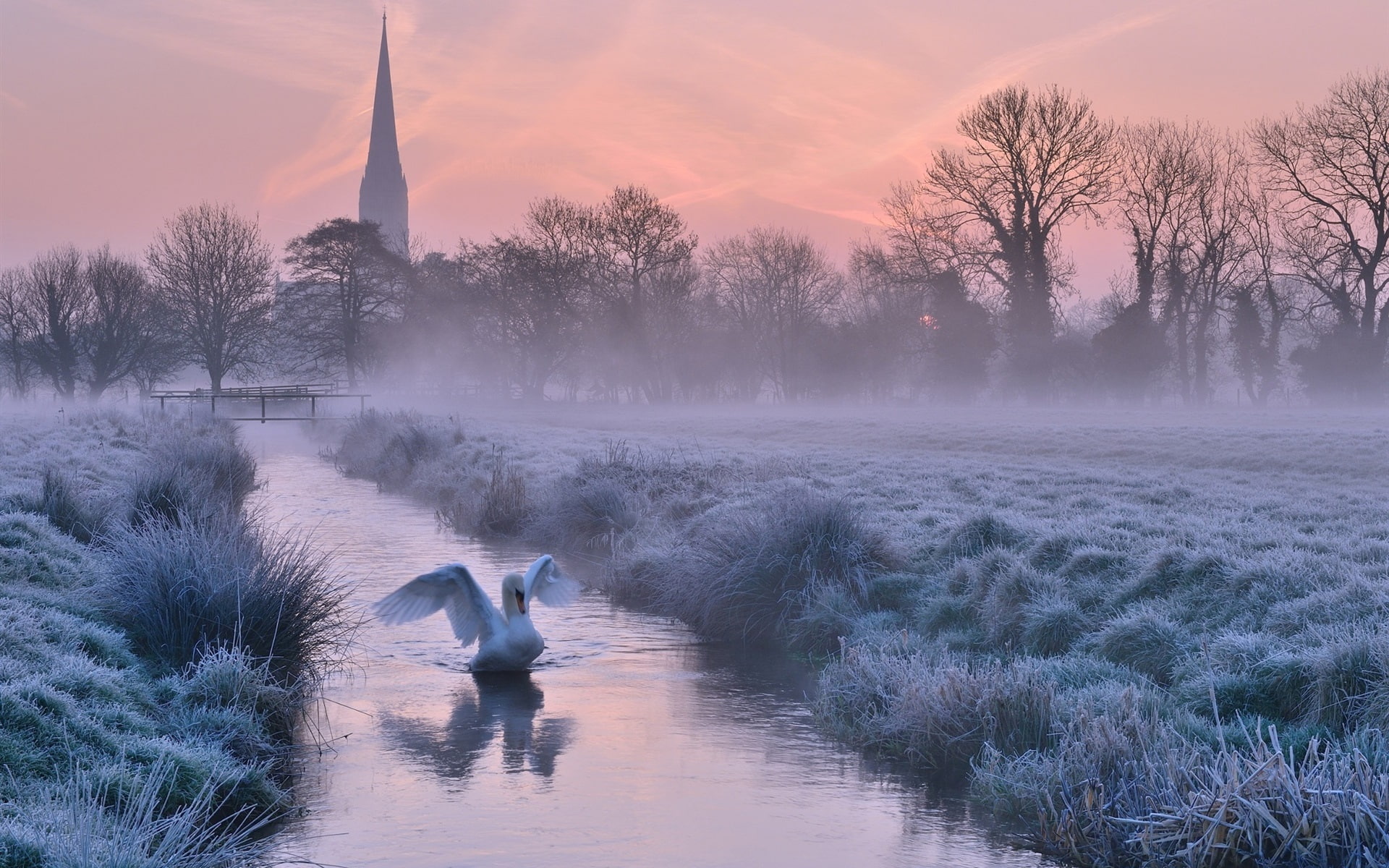 Frost, 1080P, Dusk, Winter, England, Cathedral, Trees, River, UK, Swan, HD Wallpaper