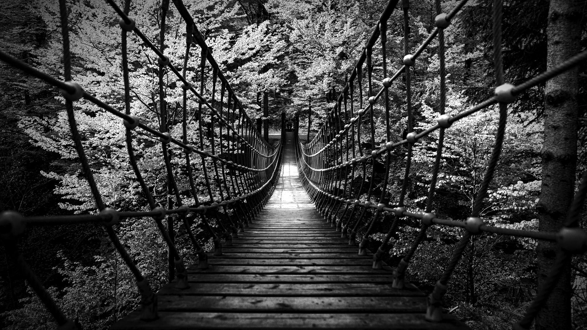 hd, bridge, bw, 1080P, nature, forest, HD Wallpaper
