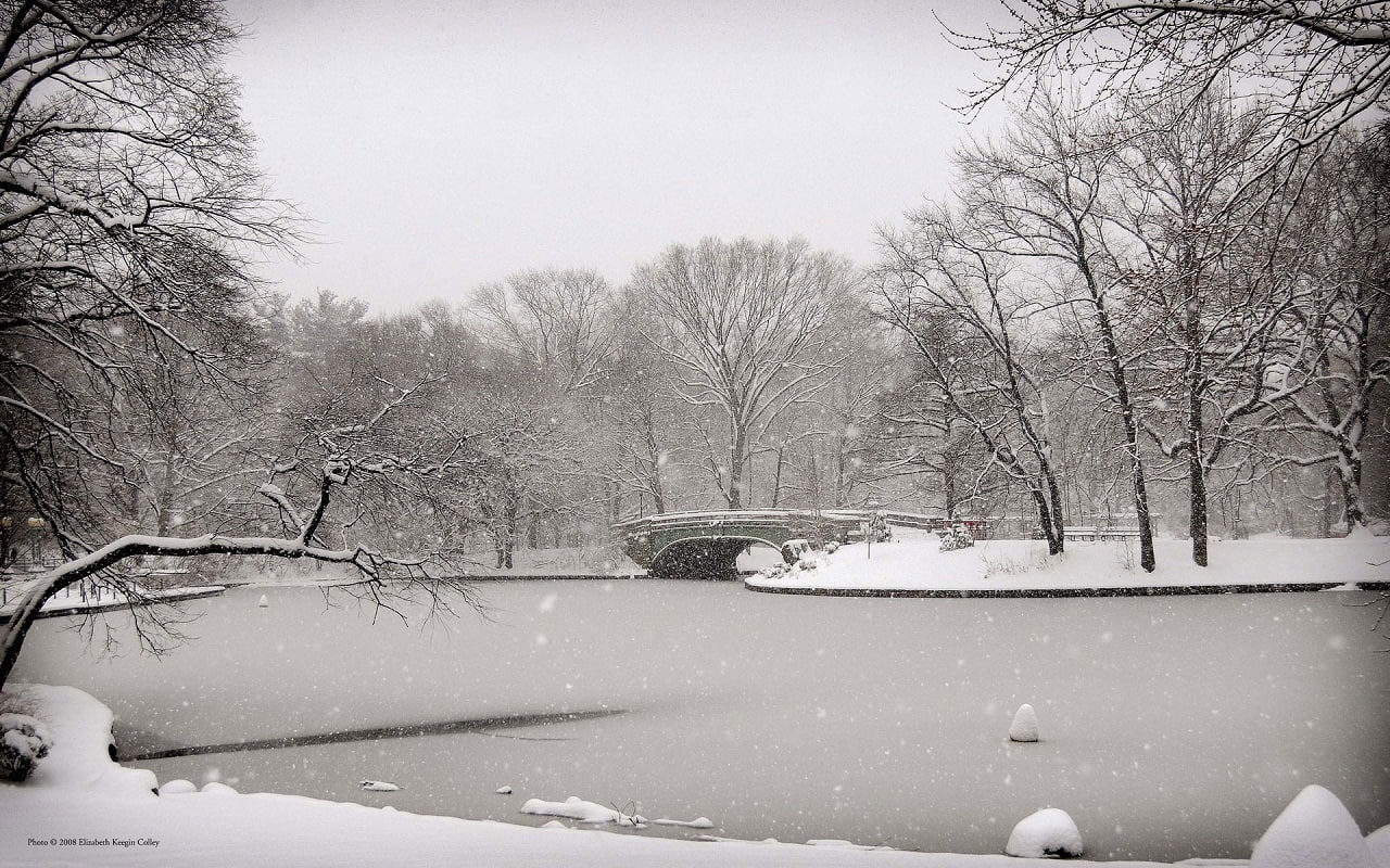 720P, trees, winter, snow, hd, bw, nature, bridge, HD Wallpaper