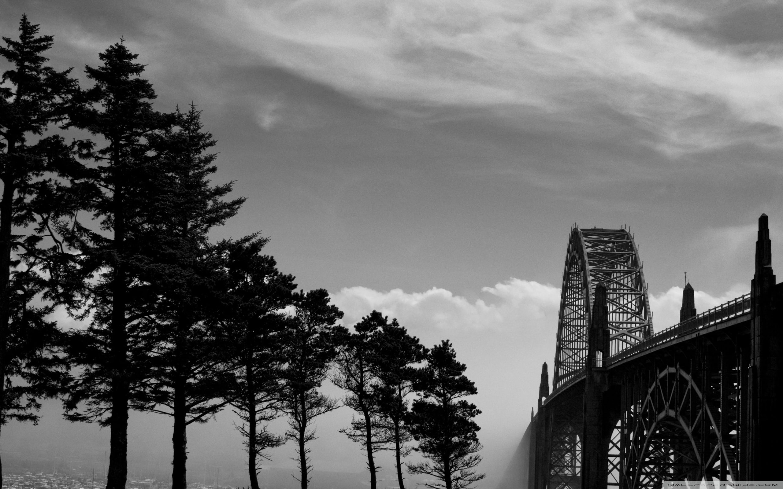nature, 2K, bw, bridge, trees, hd, HD Wallpaper