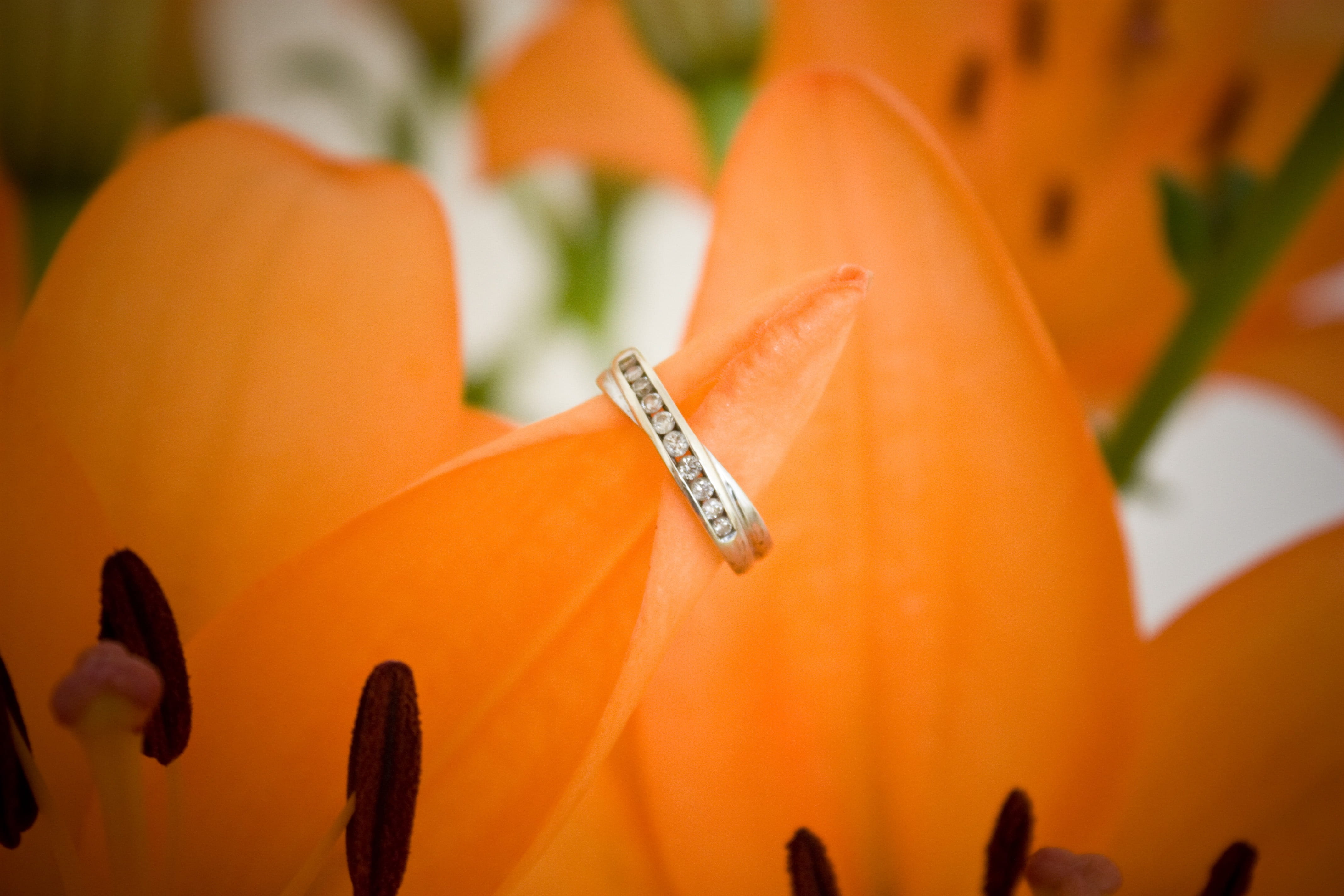 celebration, family, engagement, relationship, flowering plant, gift, plant, cake, food and drink, close, freshness, wedding, close-up, lily, happy, bridesmaid, HD Wallpaper