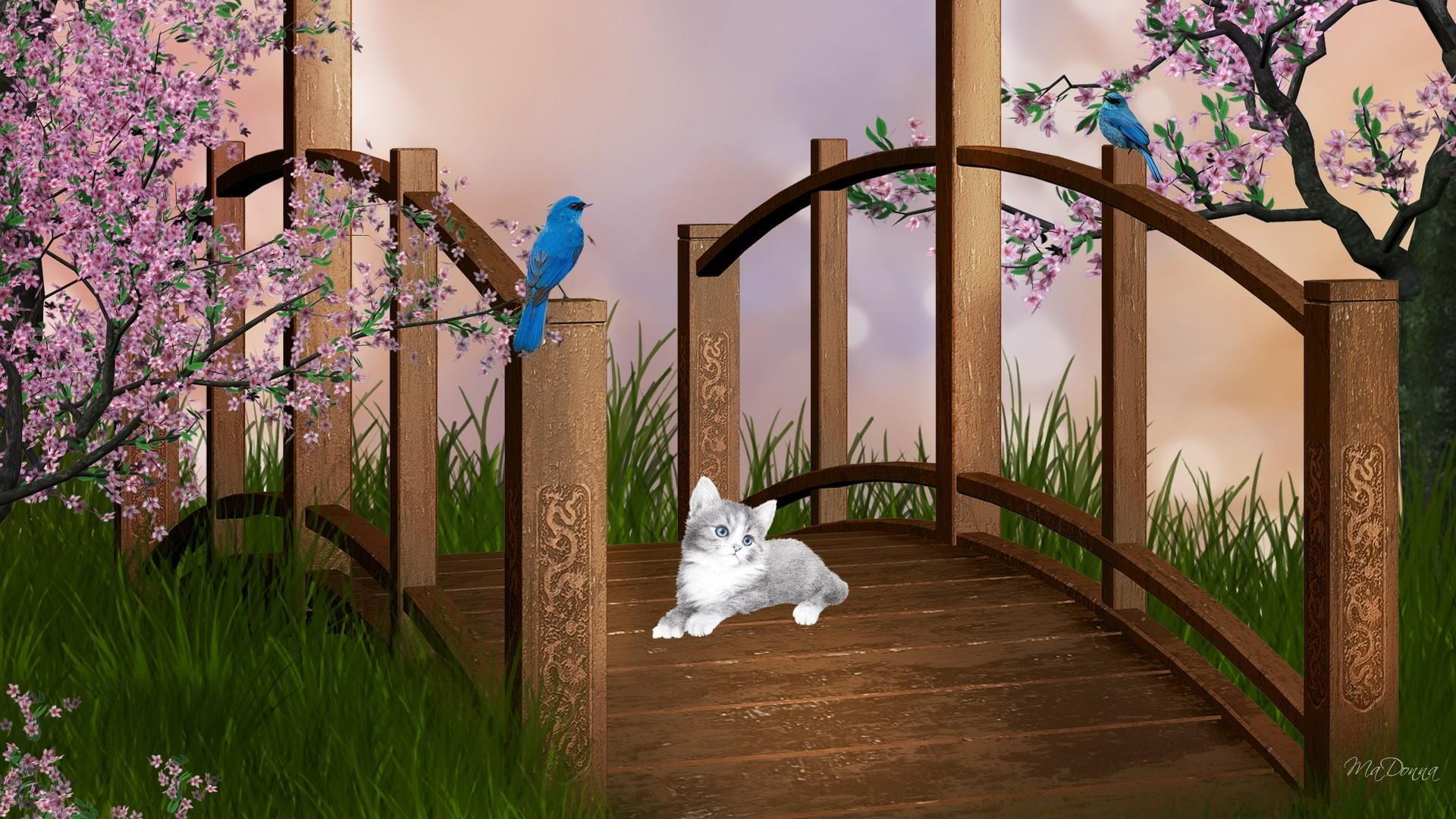 cherry blossoms, kitten, sakura, heavenly, kitty, persona, grass, birds, acres, 3d and abstract, bridge, 1080P, HD Wallpaper