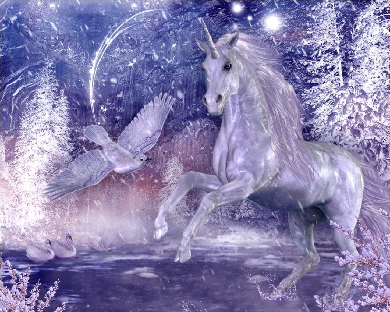 sea, gray, winter, animal themes, bird, cold temperature, outdoors, two animals, group of animals, mammal, vertebrate, food, no people, wood, motion, unicorn, HD Wallpaper