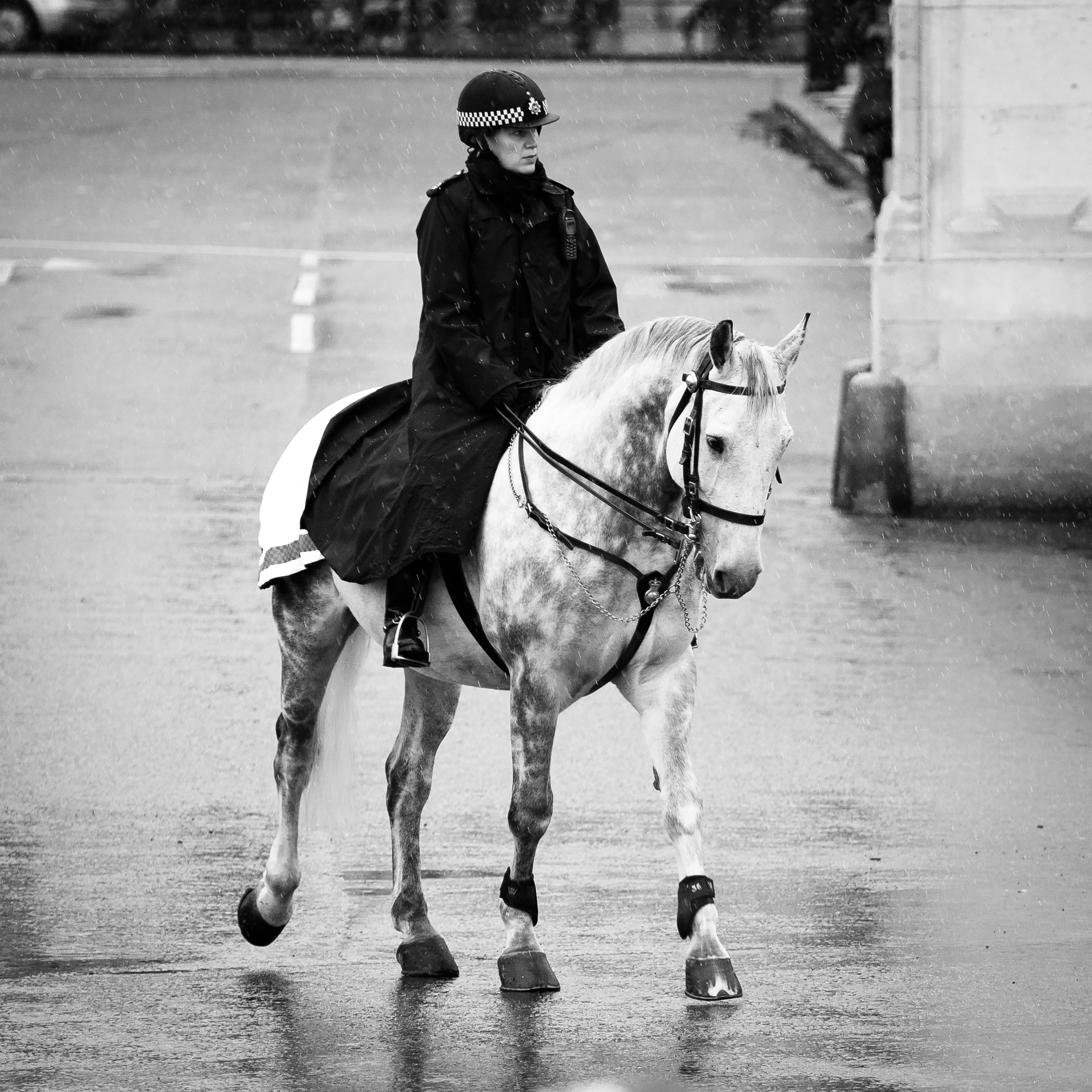 police woman, outdoors, europa, horse, 2K, nieva, policia, gray scale, photo, riding, photography, Londres, UK, llueve, ciudad, montada, imagen, image, Phone HD Wallpaper