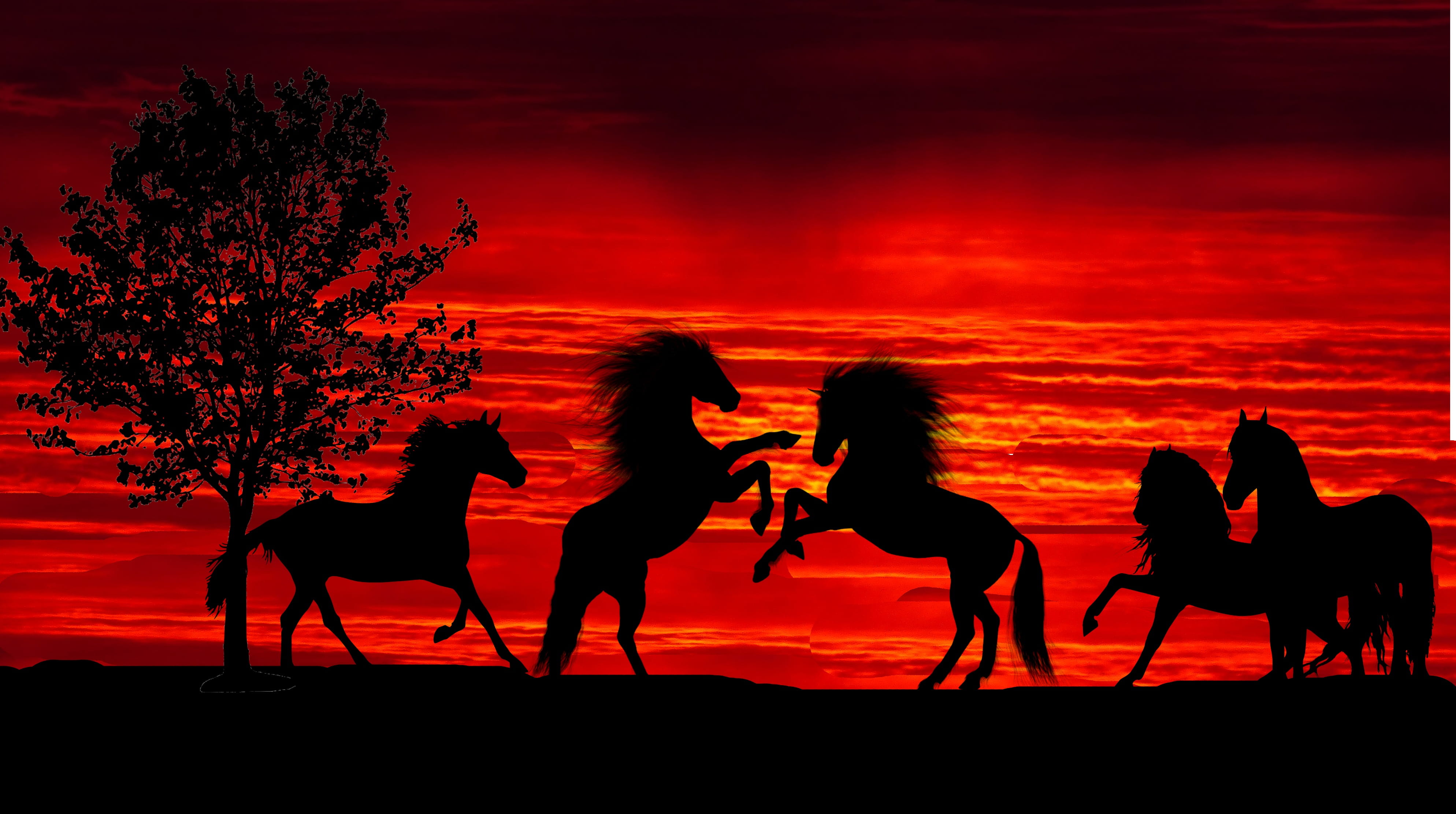 domestic animals, outdoors, leisure activity, herd, motion, nature, men, silhouette, beach, animals, group of animals, people, togetherness, sunset, 4K, HD Wallpaper