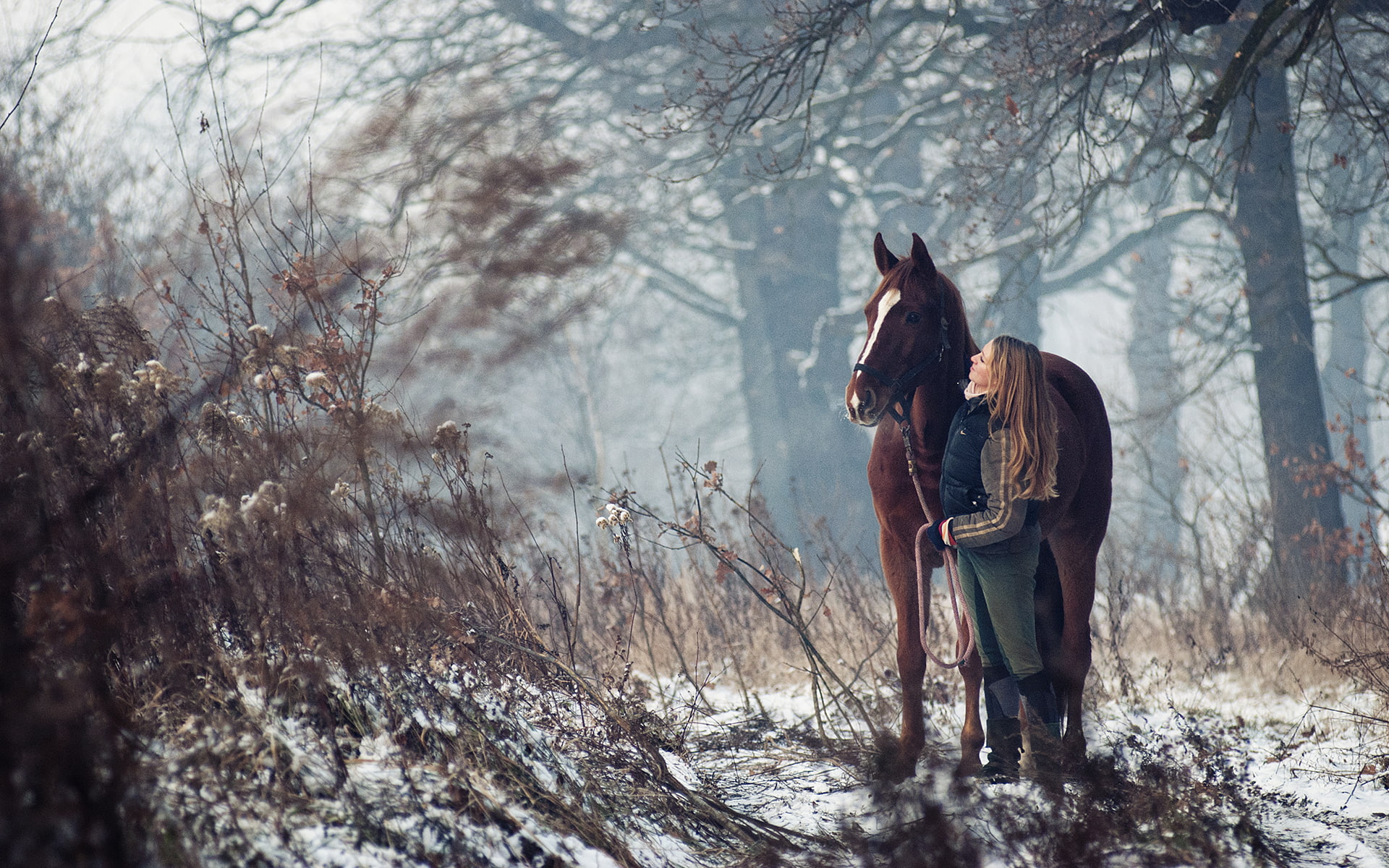friends, plants, girls, trees, 1080P, babes, blondes, landscapes, snow, love, horses, digital, forests, moonlight, animals, mood, females, seasons, manipulation, HD Wallpaper