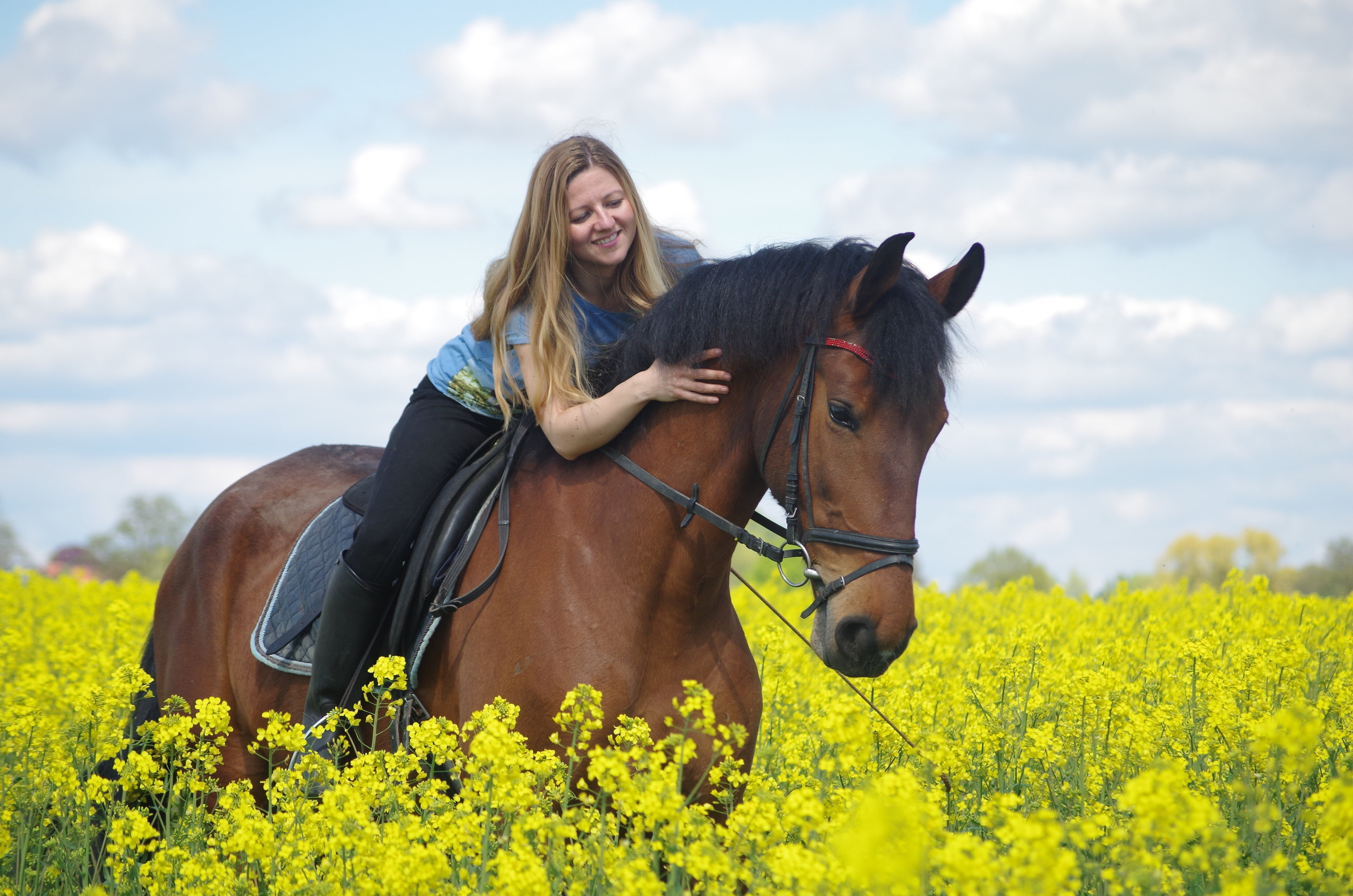 livestock, animal, friends, one animal, equestrian, womens power, woman, brown, landscape, mammal, reiter, vertebrate, outdoors, riding, hairstyle, flower, HD Wallpaper