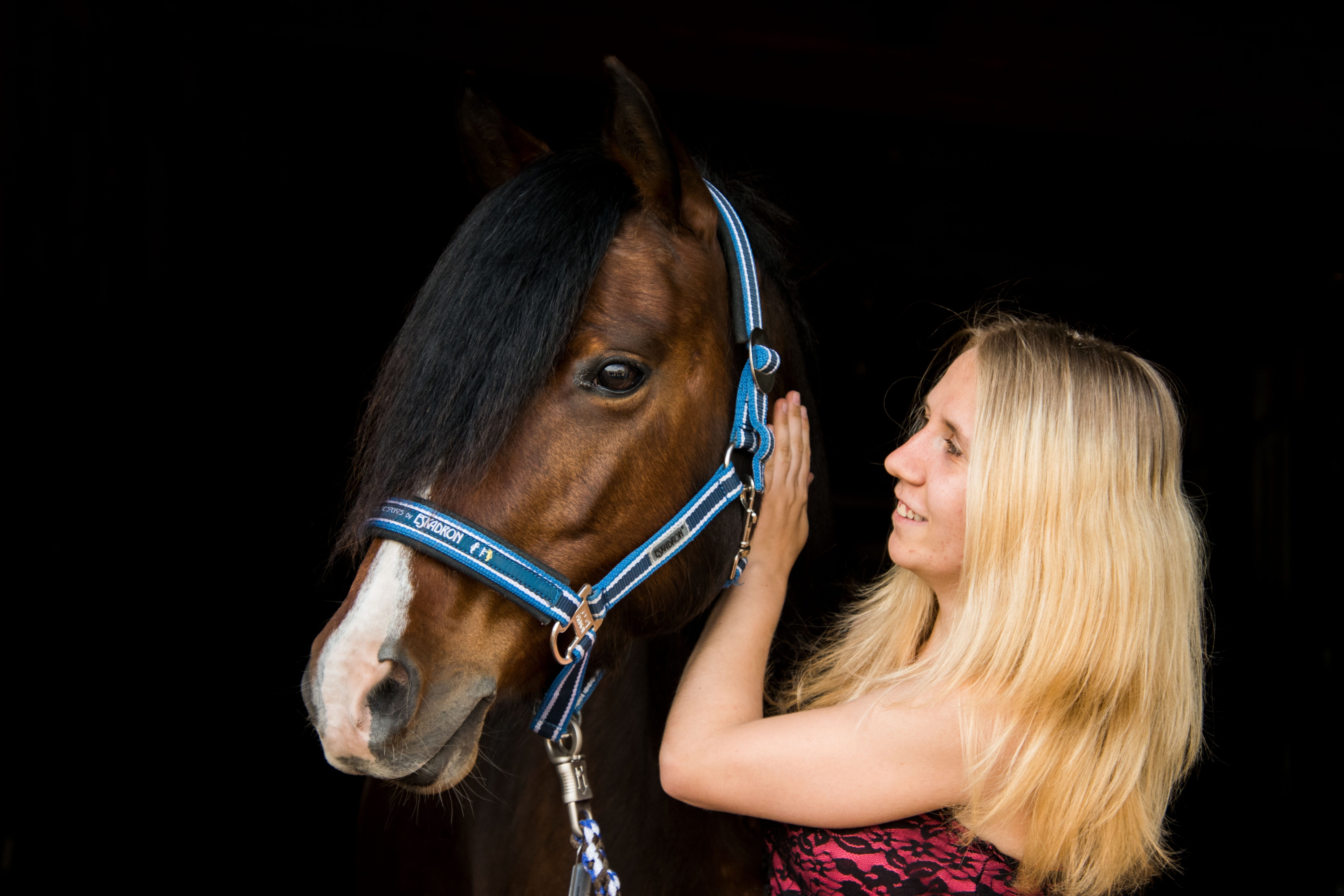 5K, herbivorous, hair, brown, horse, human, hairstyle, love, blond hair, snuggle, ride, horsewoman, woman, togetherness, domestic animals, positive emotion, HD Wallpaper